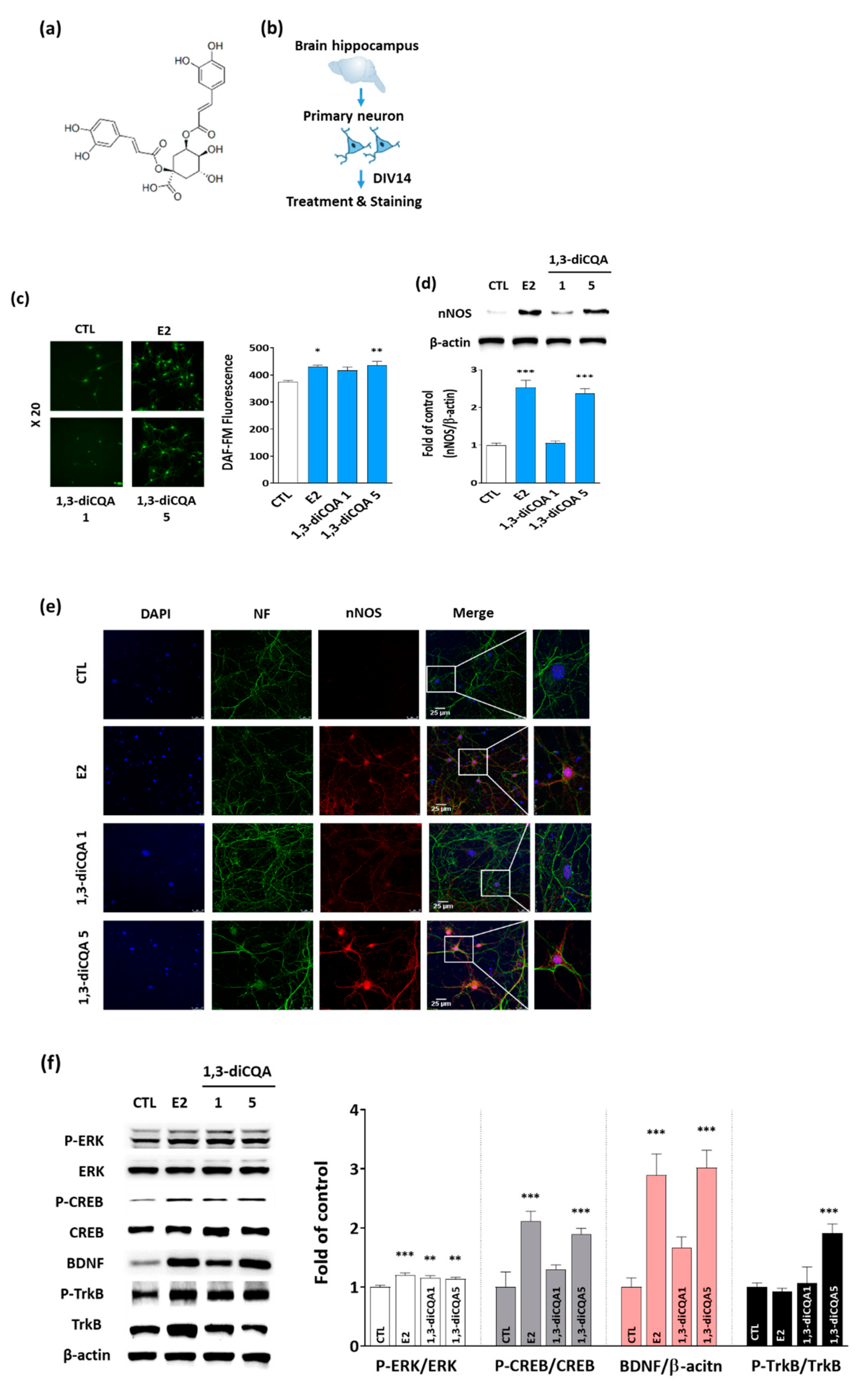 Antioxidants 10 01281 g005