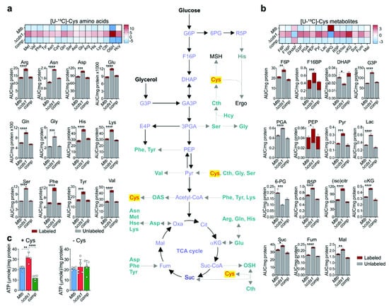 Antioxidants  Special Issue : Hydrogen Sulfide in Biology