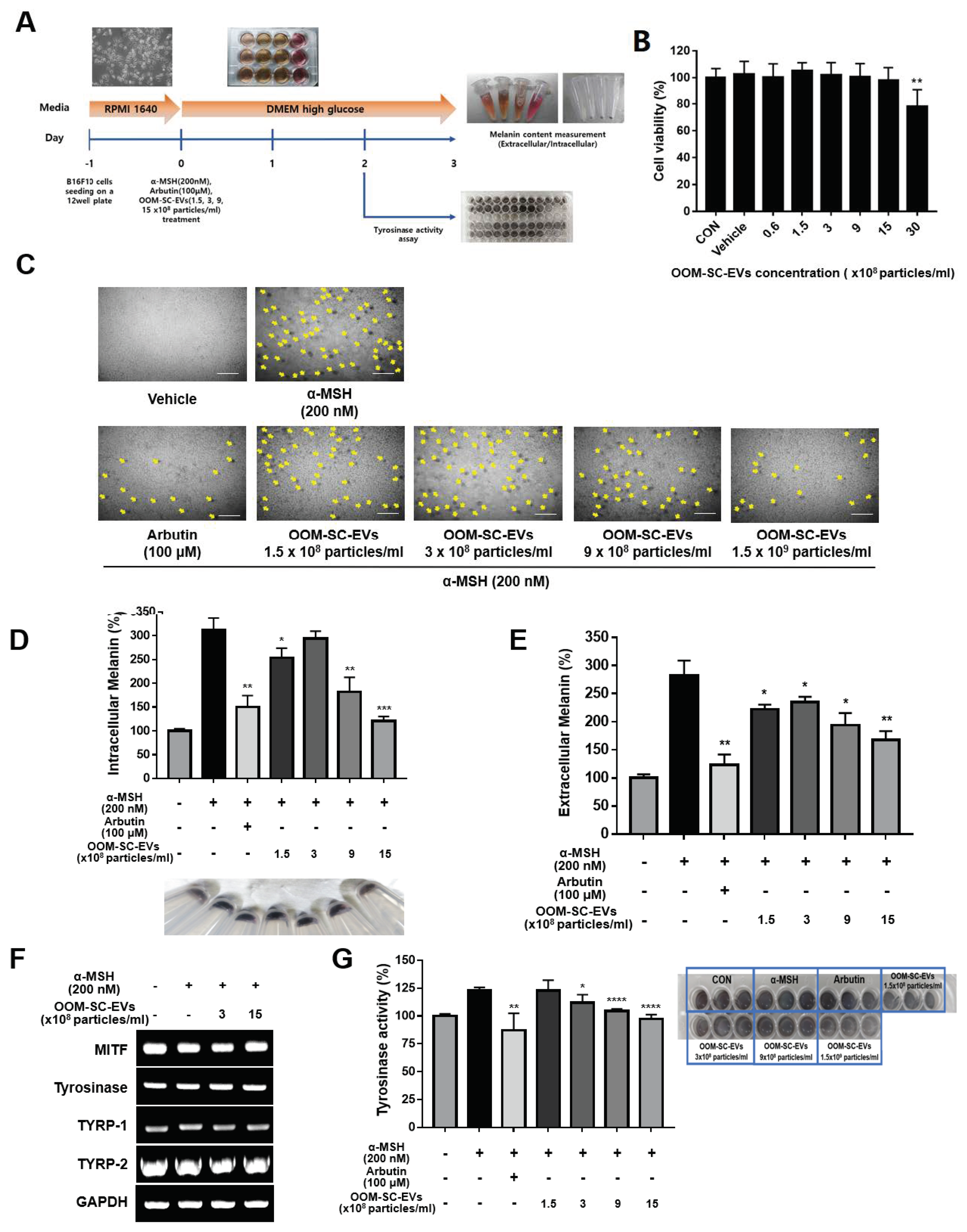 Antioxidants 10 01292 g005