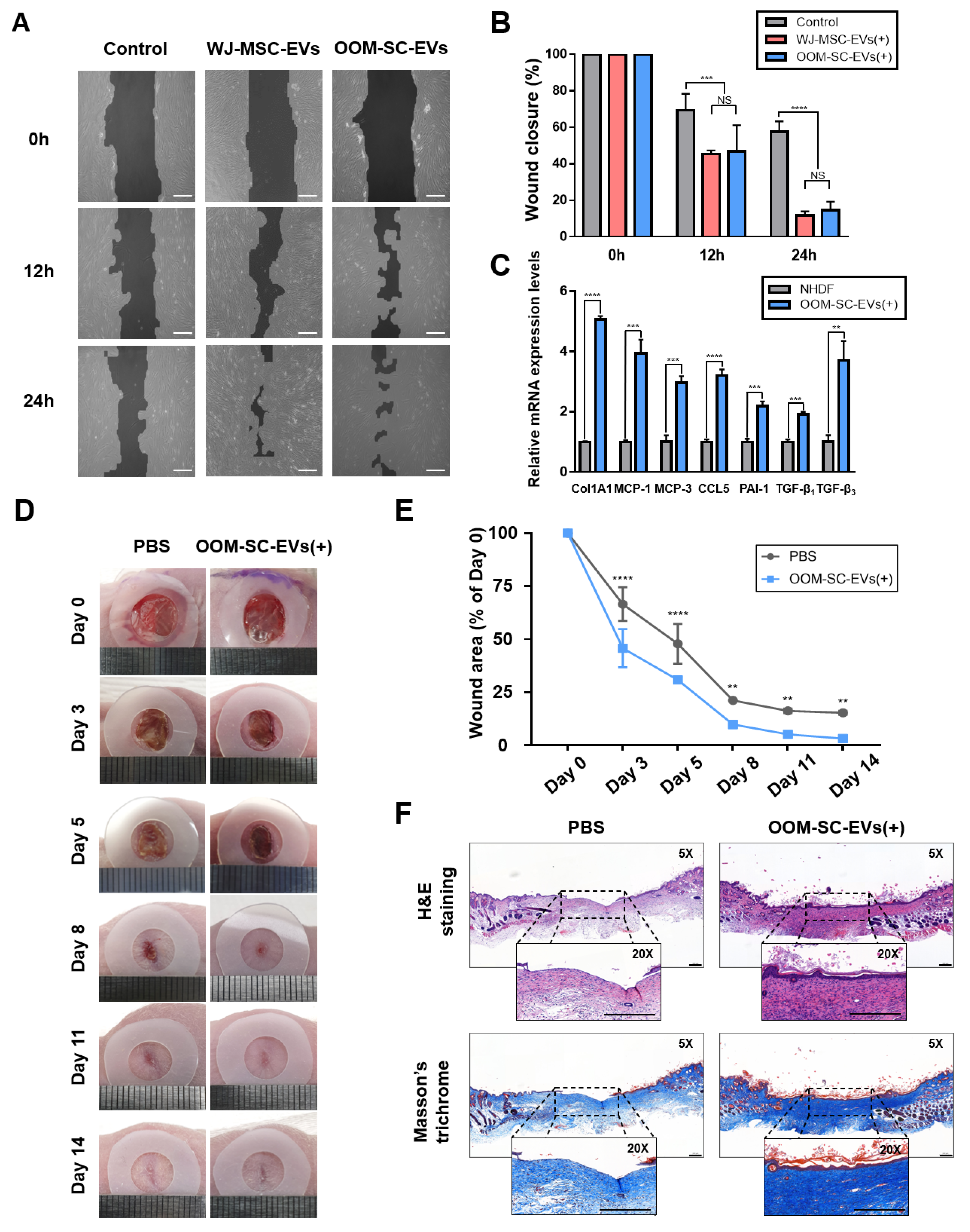 Antioxidants 10 01292 g006