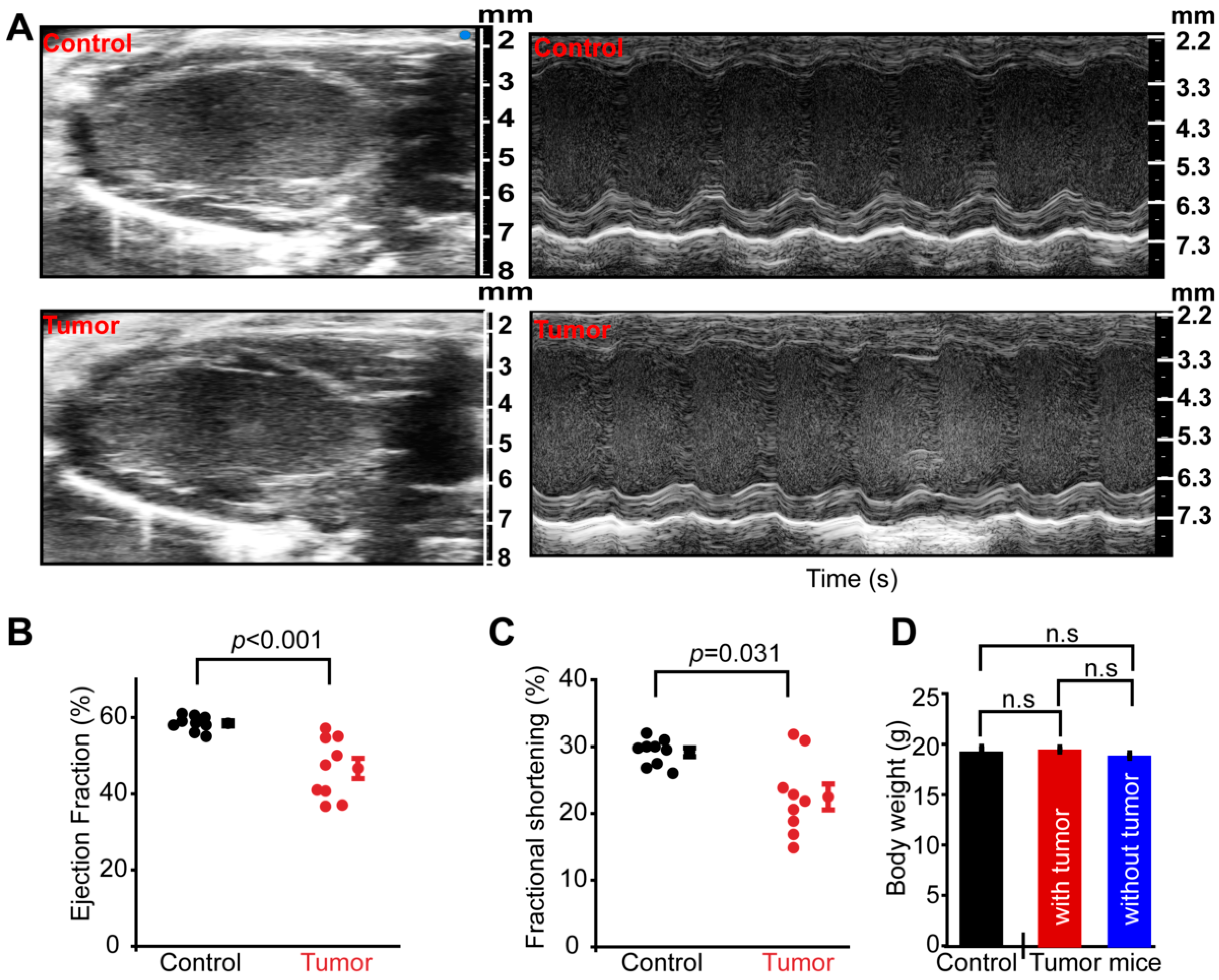 Antioxidants 10 01299 g001