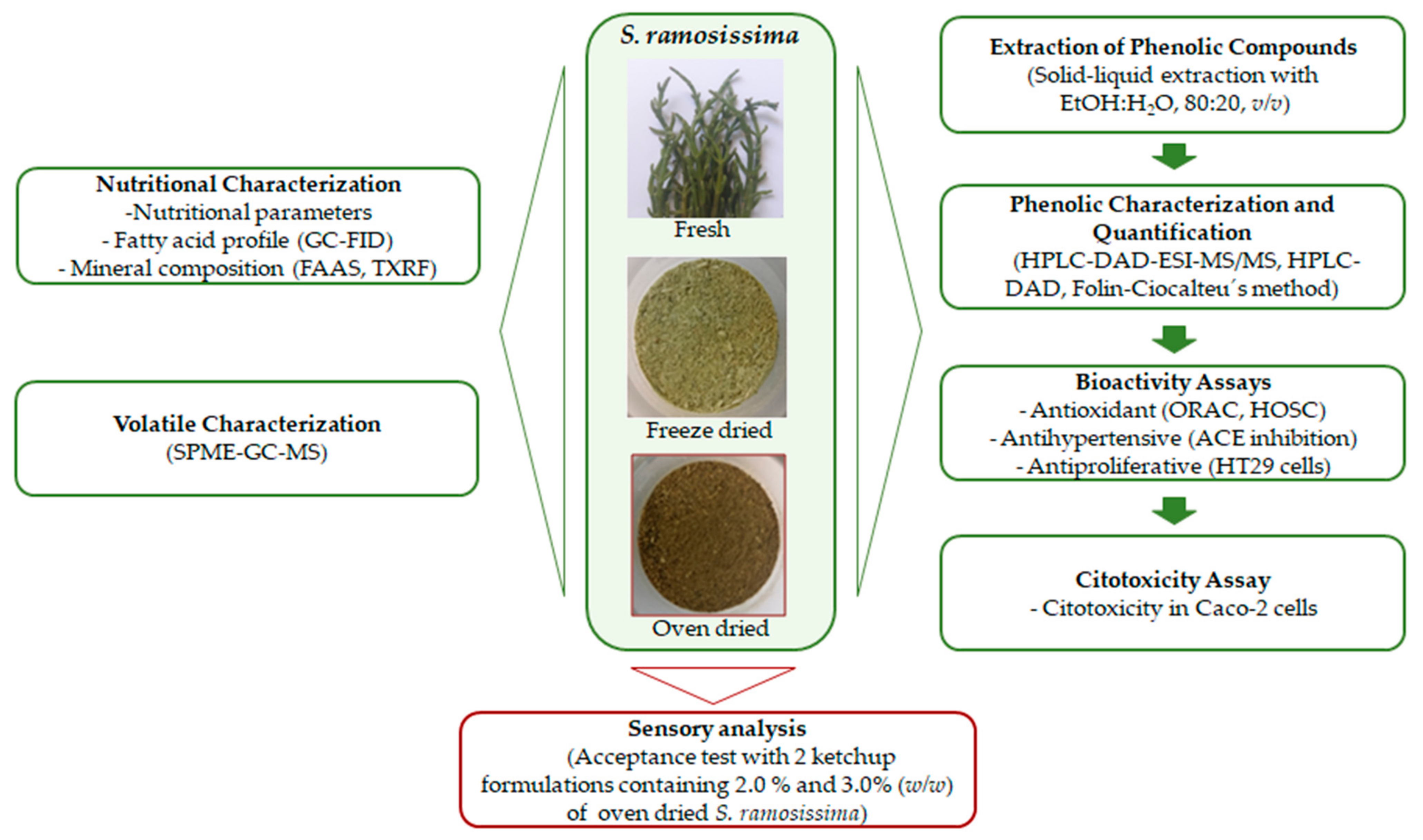 Antioxidants | Free Full-Text | Impact of Drying Processes on the  Nutritional Composition, Volatile Profile, Phytochemical Content and  Bioactivity of Salicornia ramosissima J. Woods