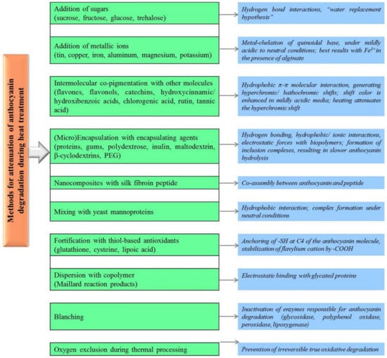 Antioxidants | Free Full-Text | A Review of the Current Knowledge of ...