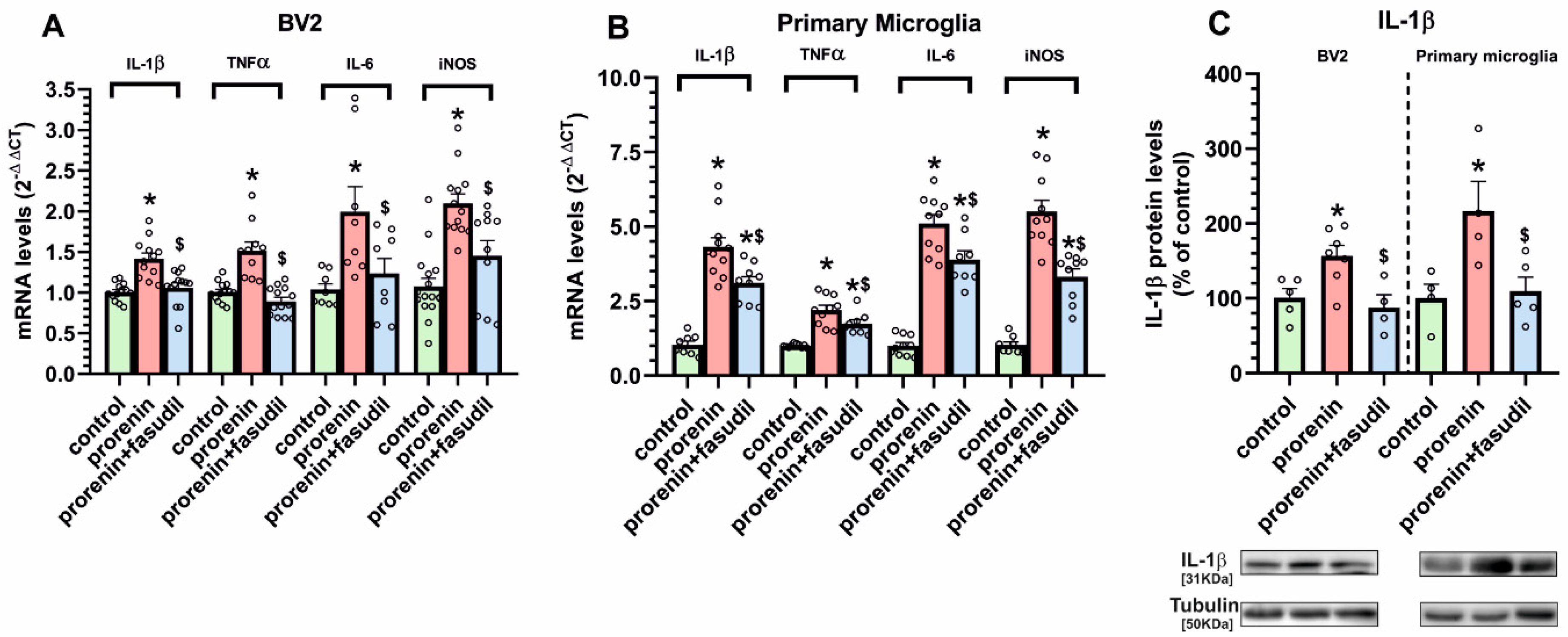 Antioxidants 10 01340 g006