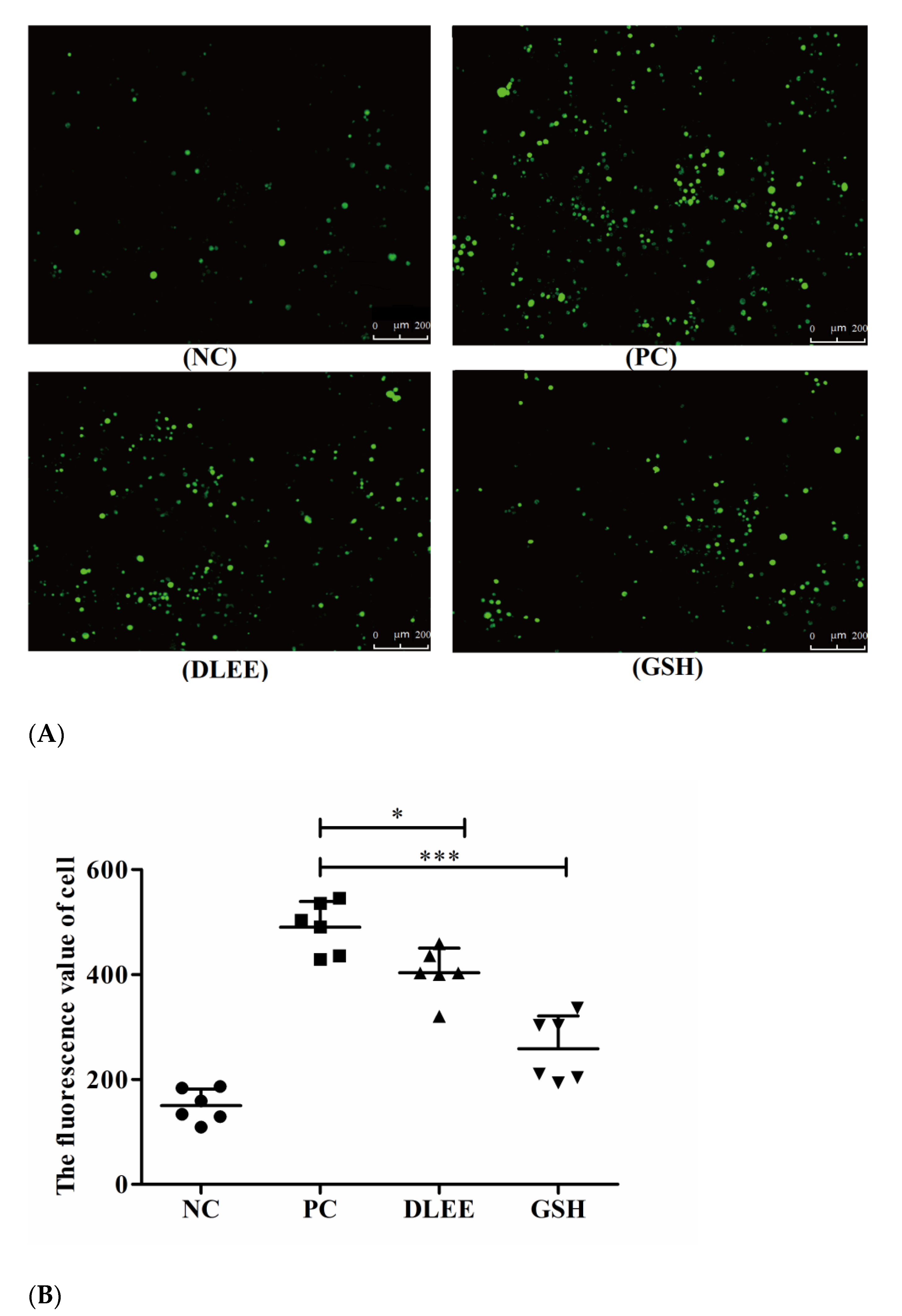 Antioxidants 10 01354 g002