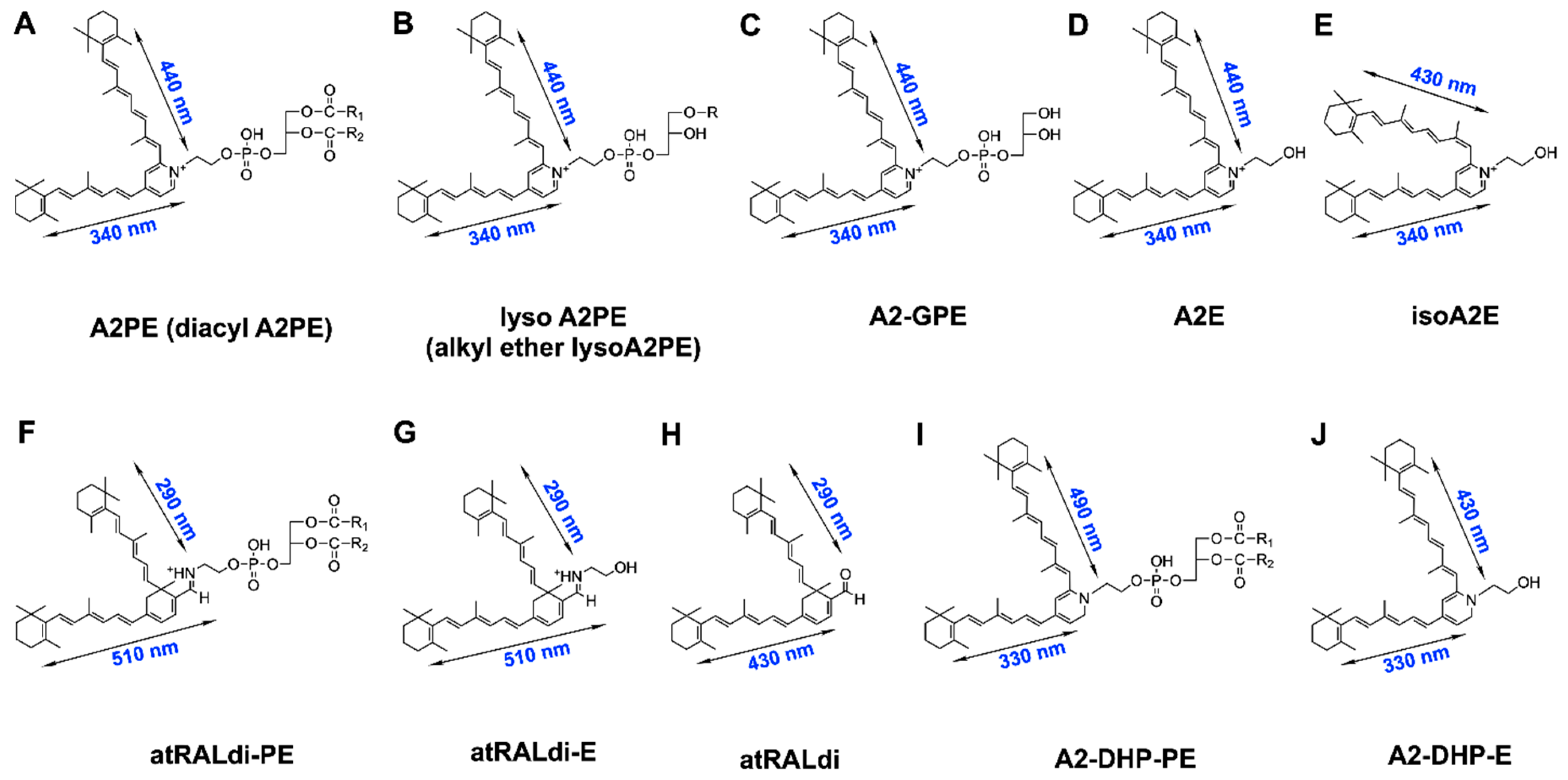 Antioxidants 10 01382 g001