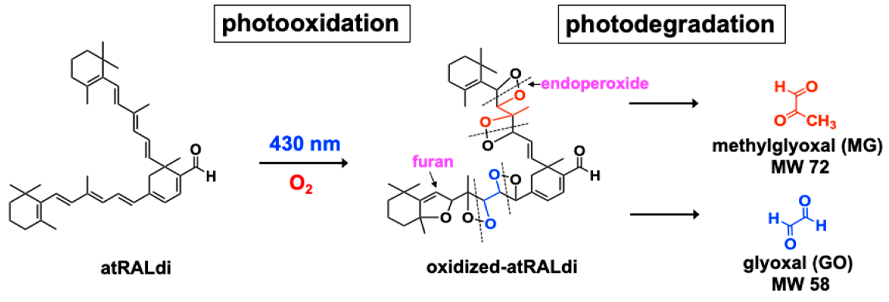 Antioxidants 10 01382 g004