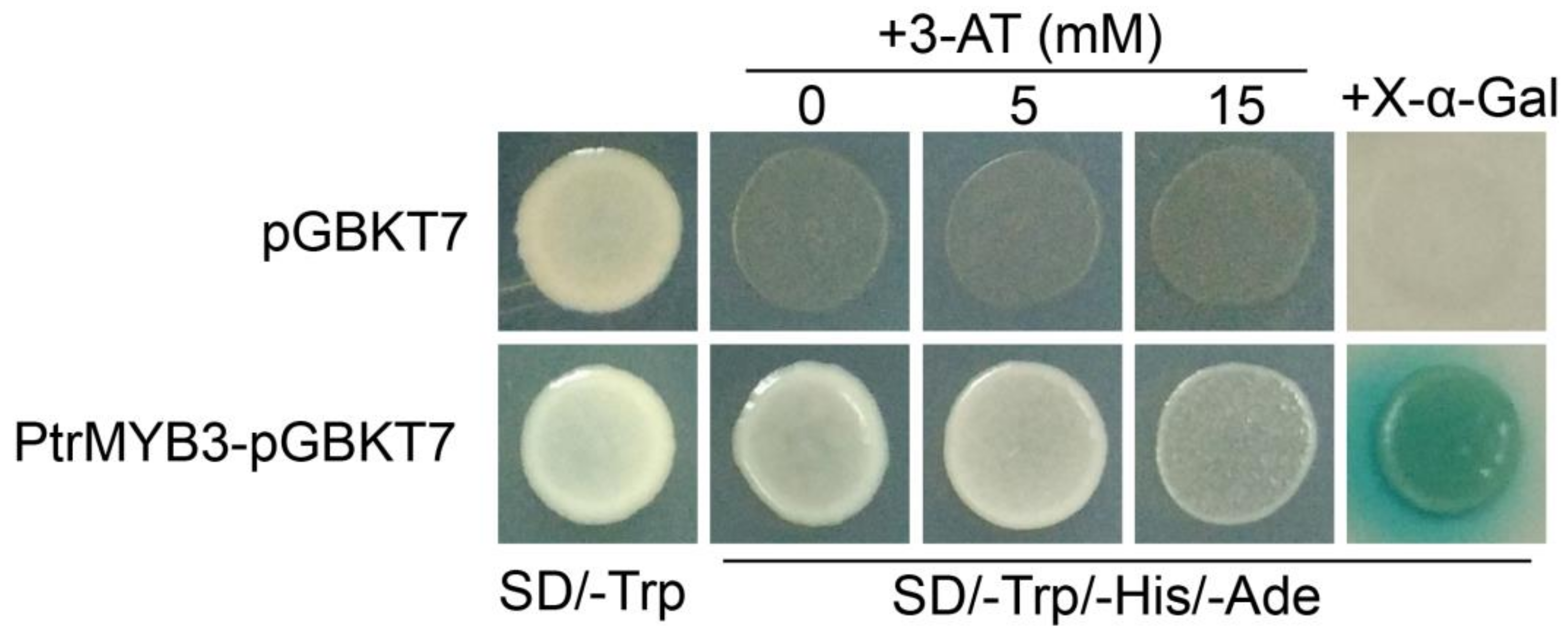 Antioxidants 10 01388 g004