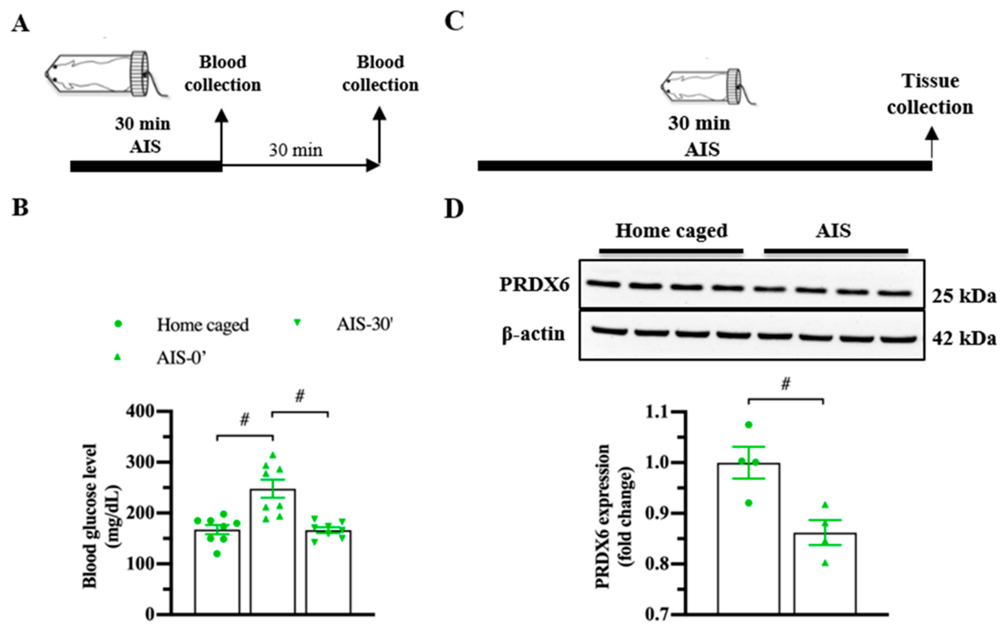 Antioxidants 10 01416 g002
