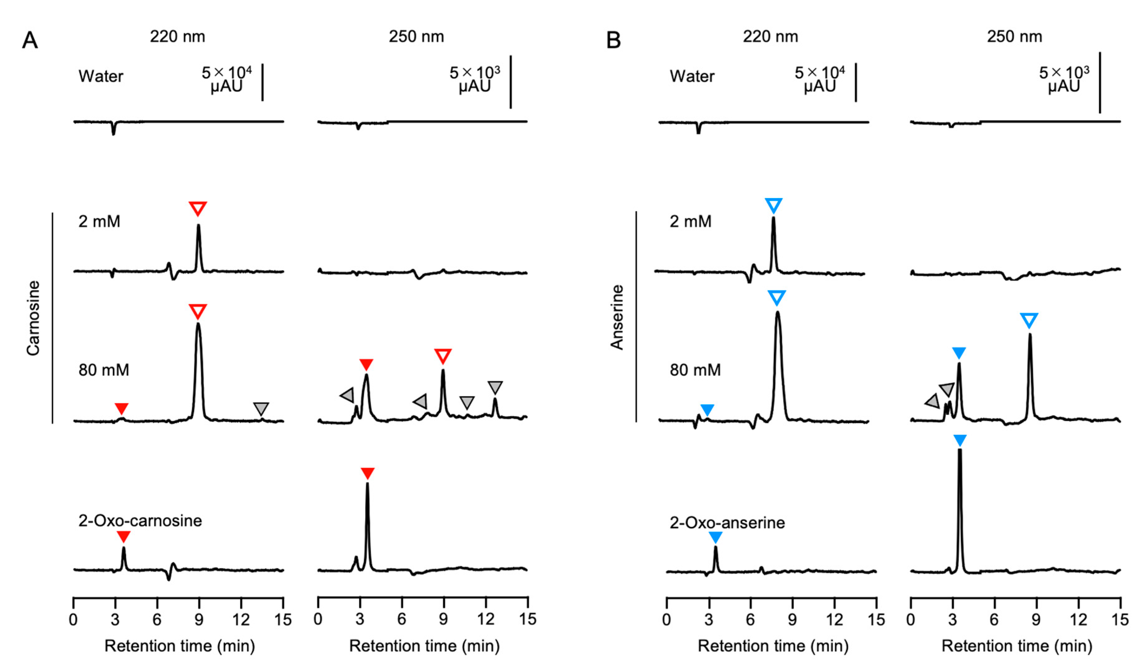 Antioxidants 10 01434 g004 Antioxidants 10 01434 g004