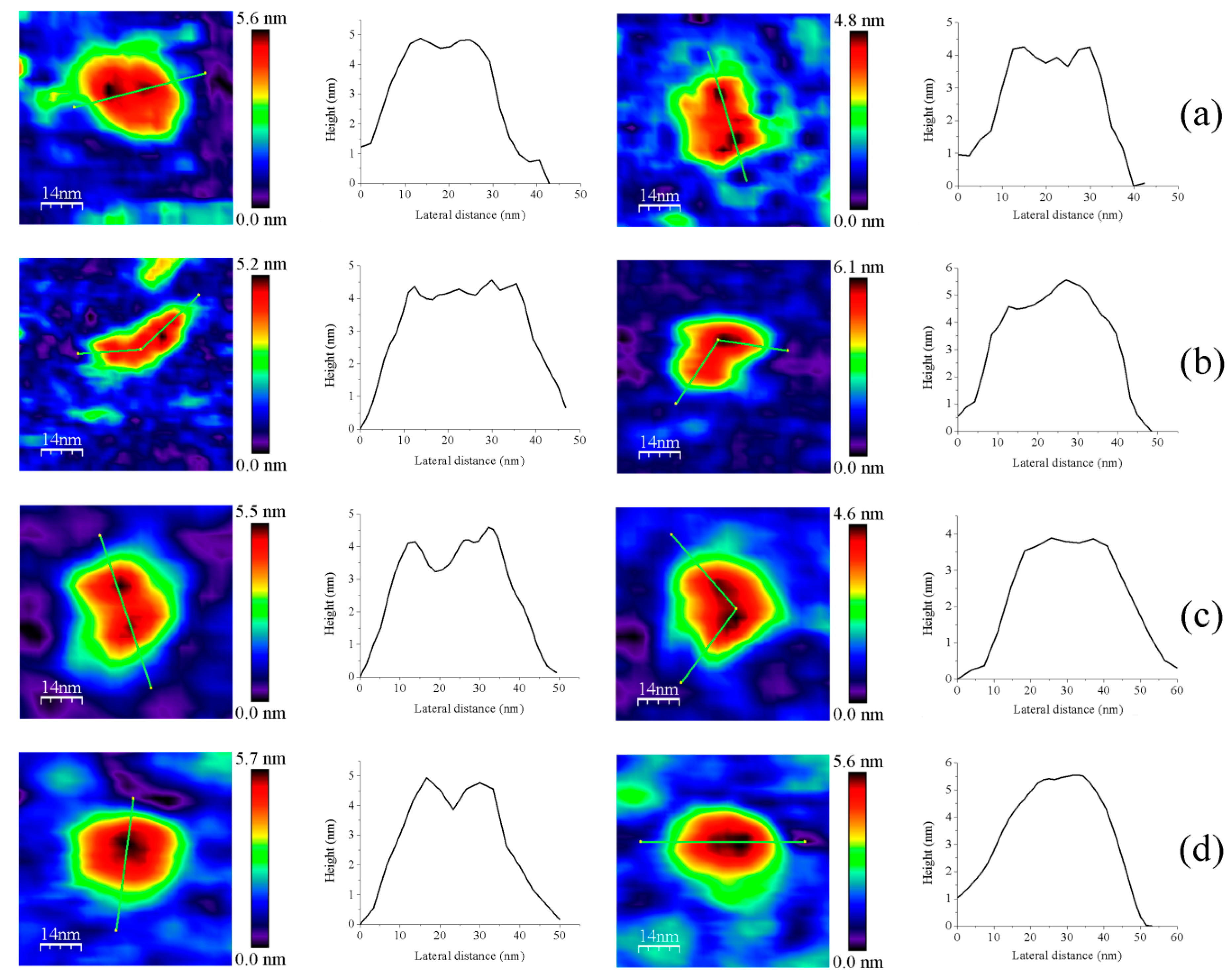 Antioxidants 10 01437 g007