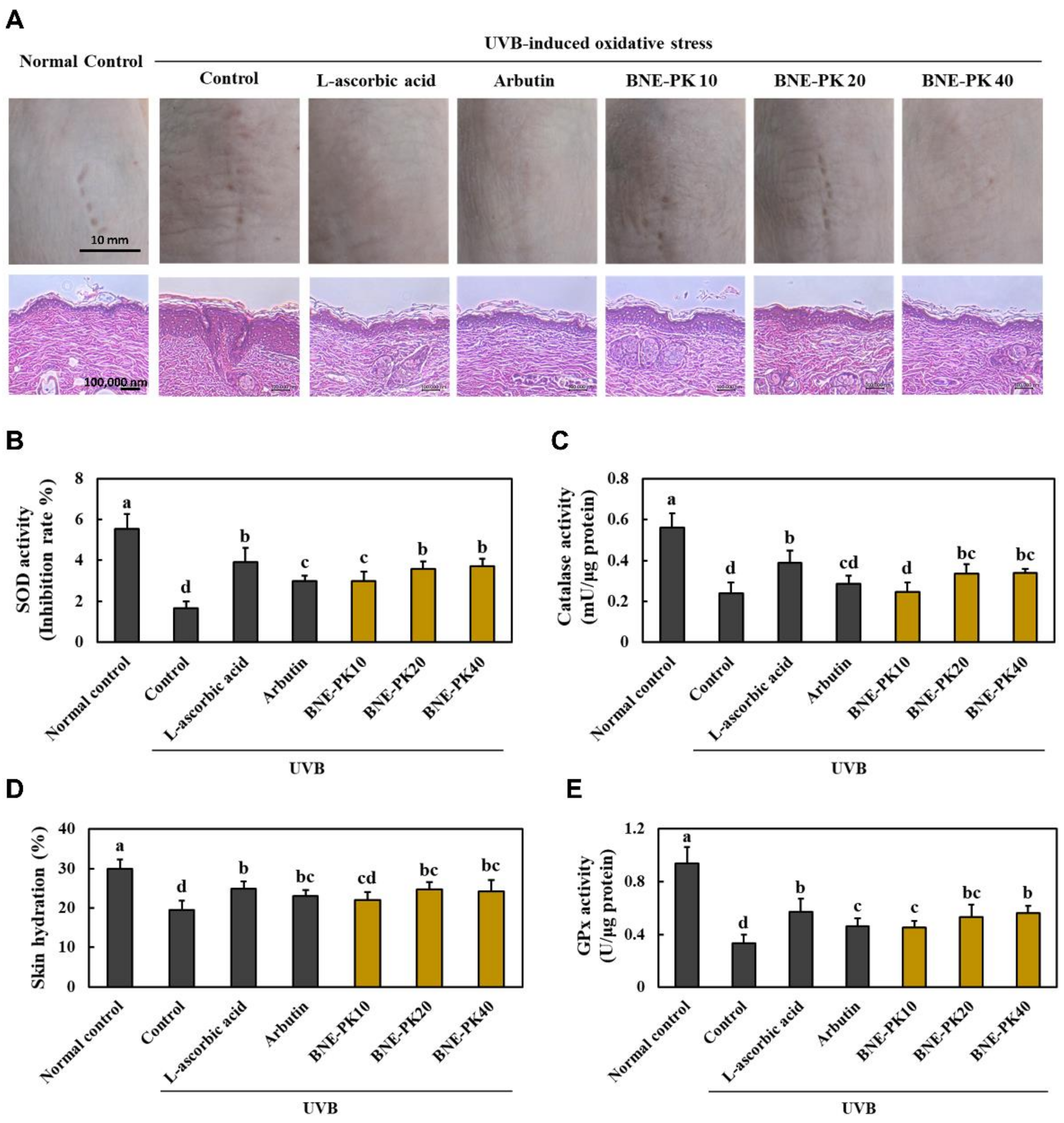Antioxidants 10 01452 g002