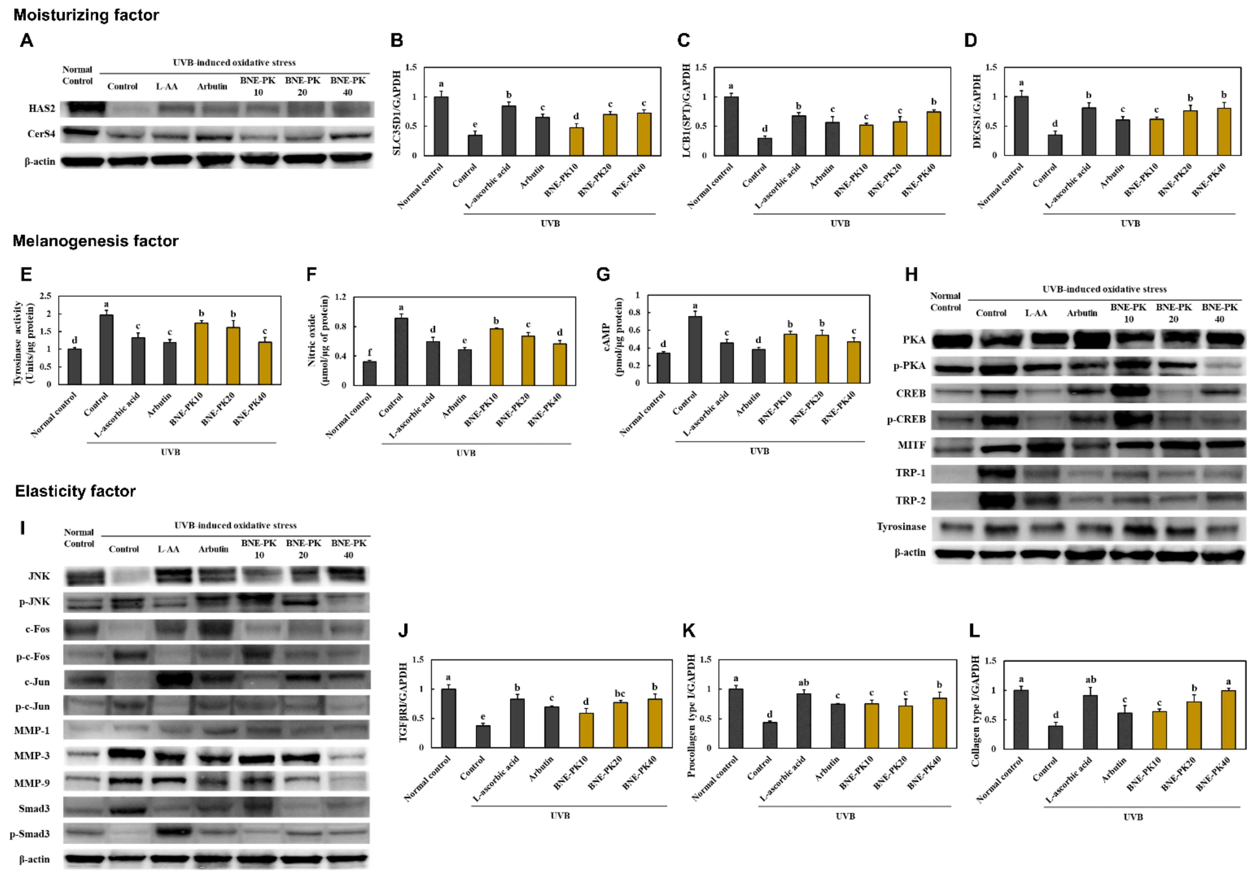 Antioxidants 10 01452 g003