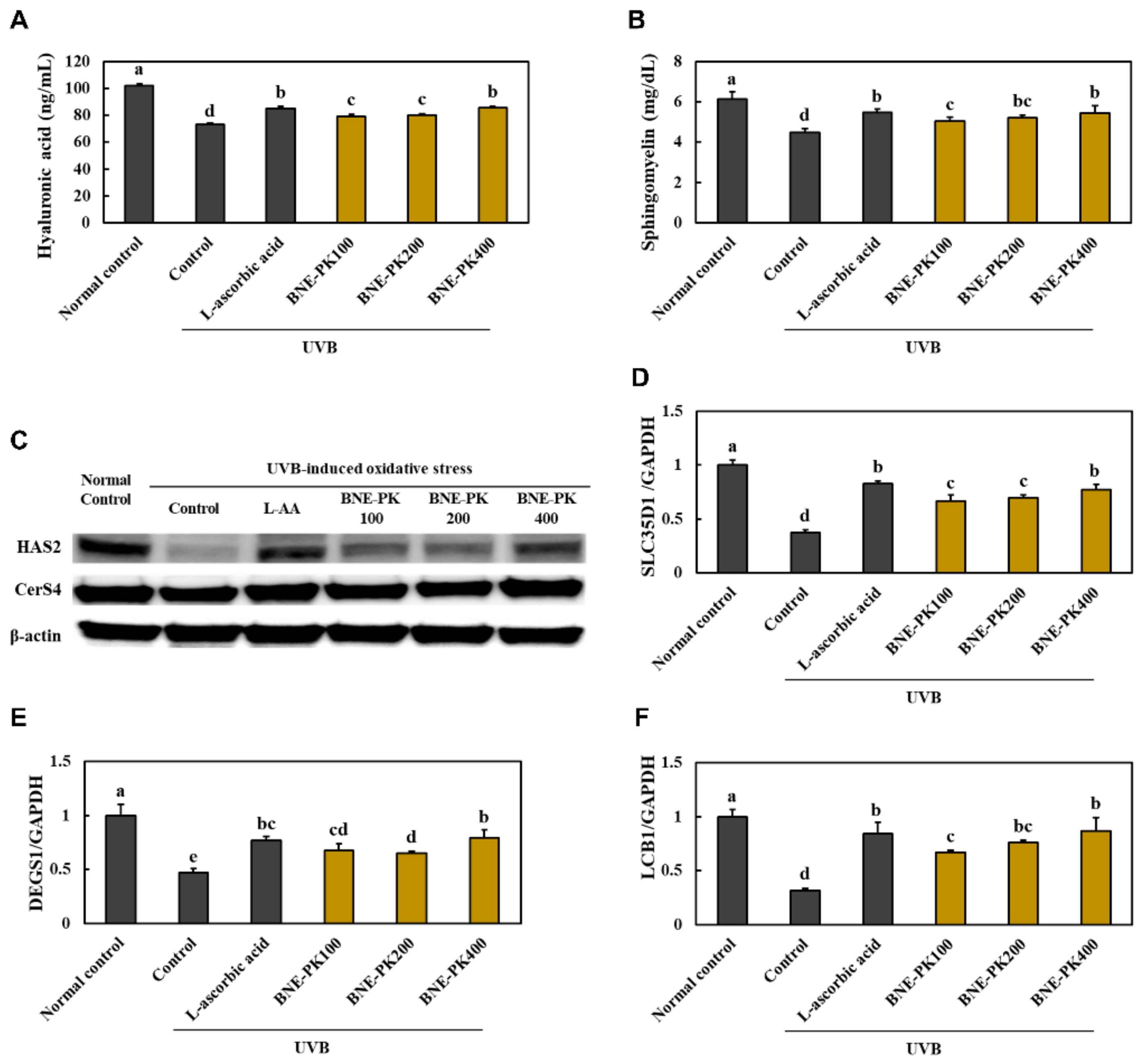 Antioxidants 10 01452 g004
