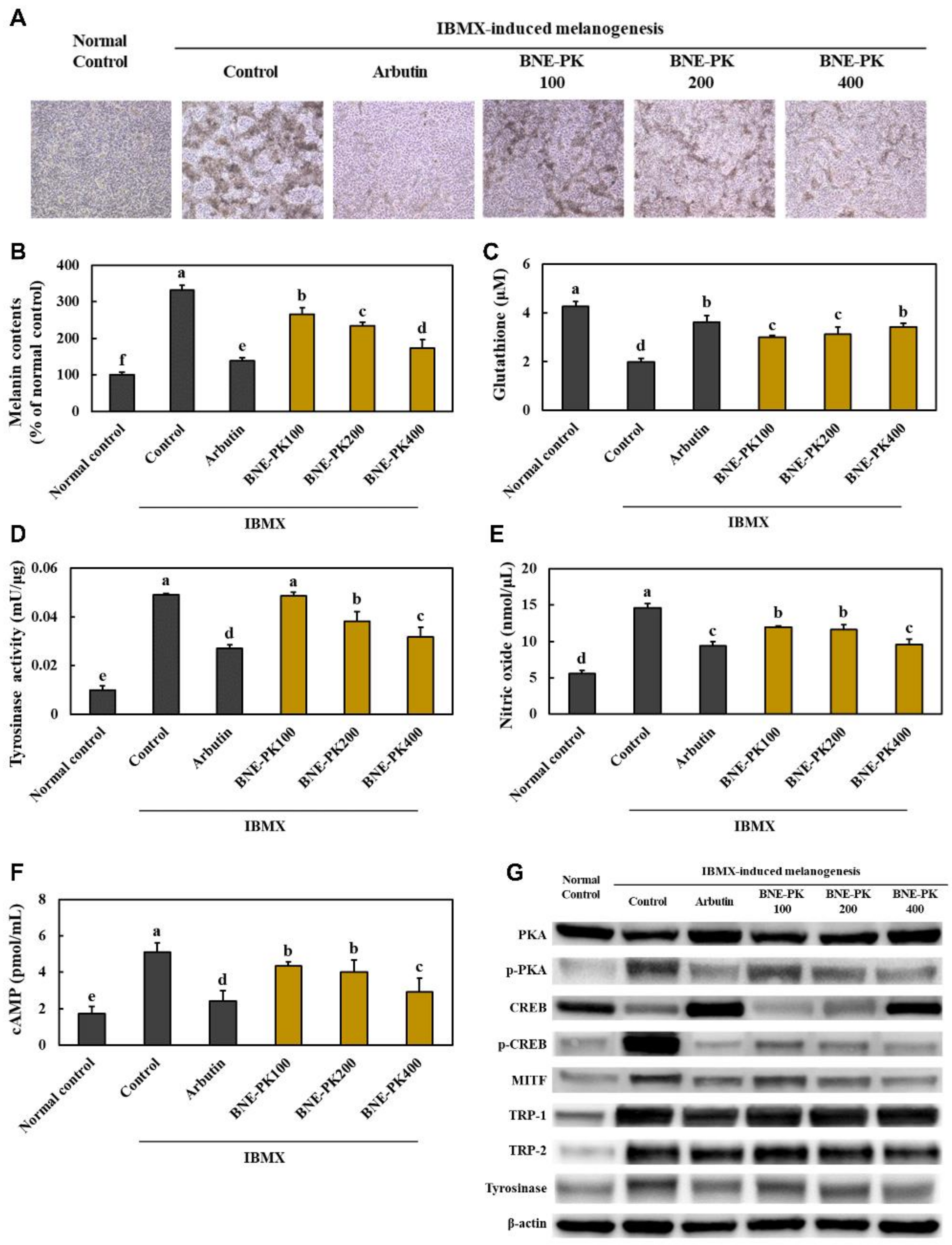 Antioxidants 10 01452 g005