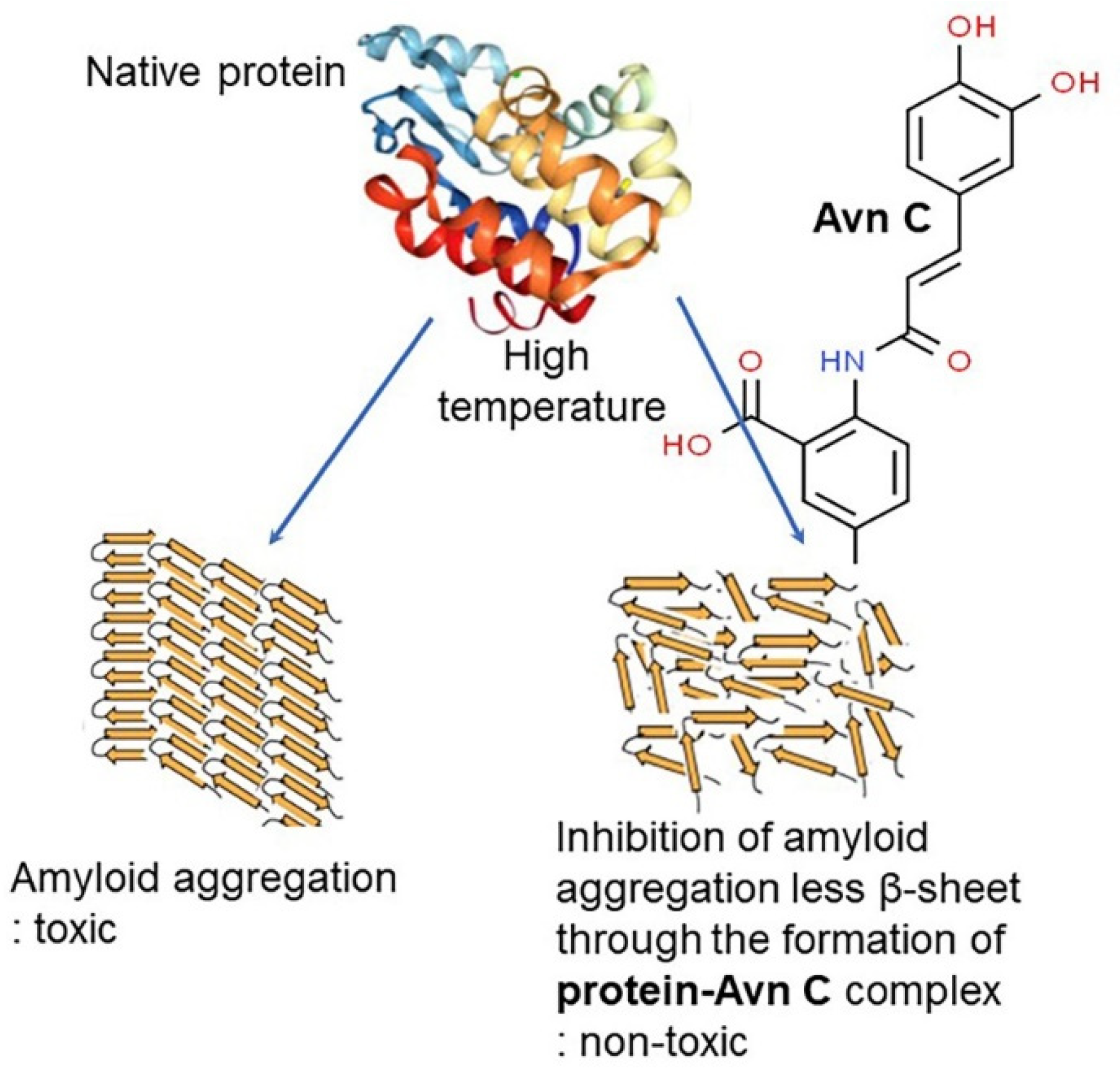 Antioxidants 10 01454 g011 Antioxidants 10 01454 g011