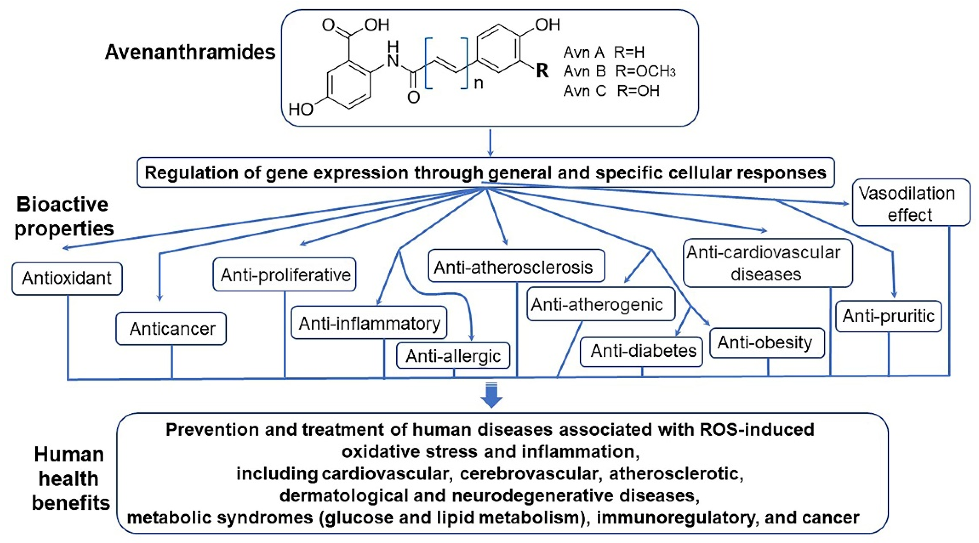 Antioxidants 10 01454 g012 Antioxidants 10 01454 g012