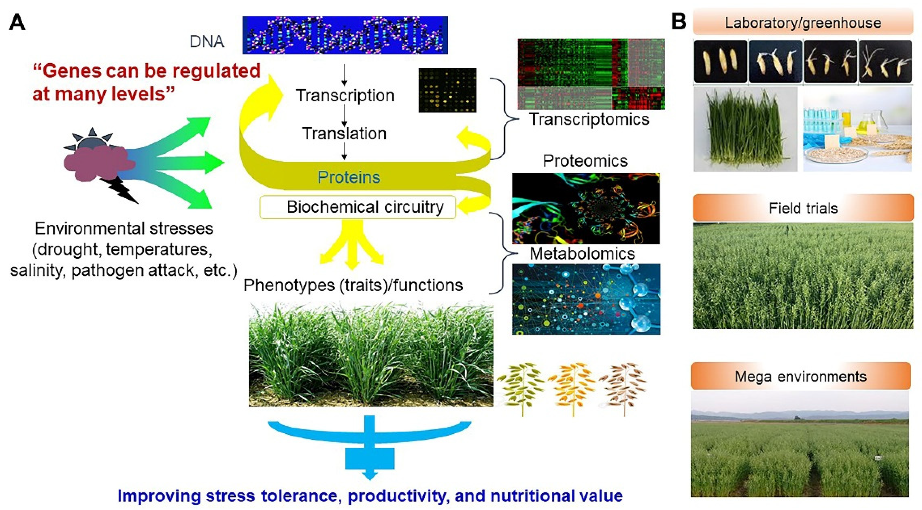 Antioxidants 10 01454 g014 Antioxidants 10 01454 g014