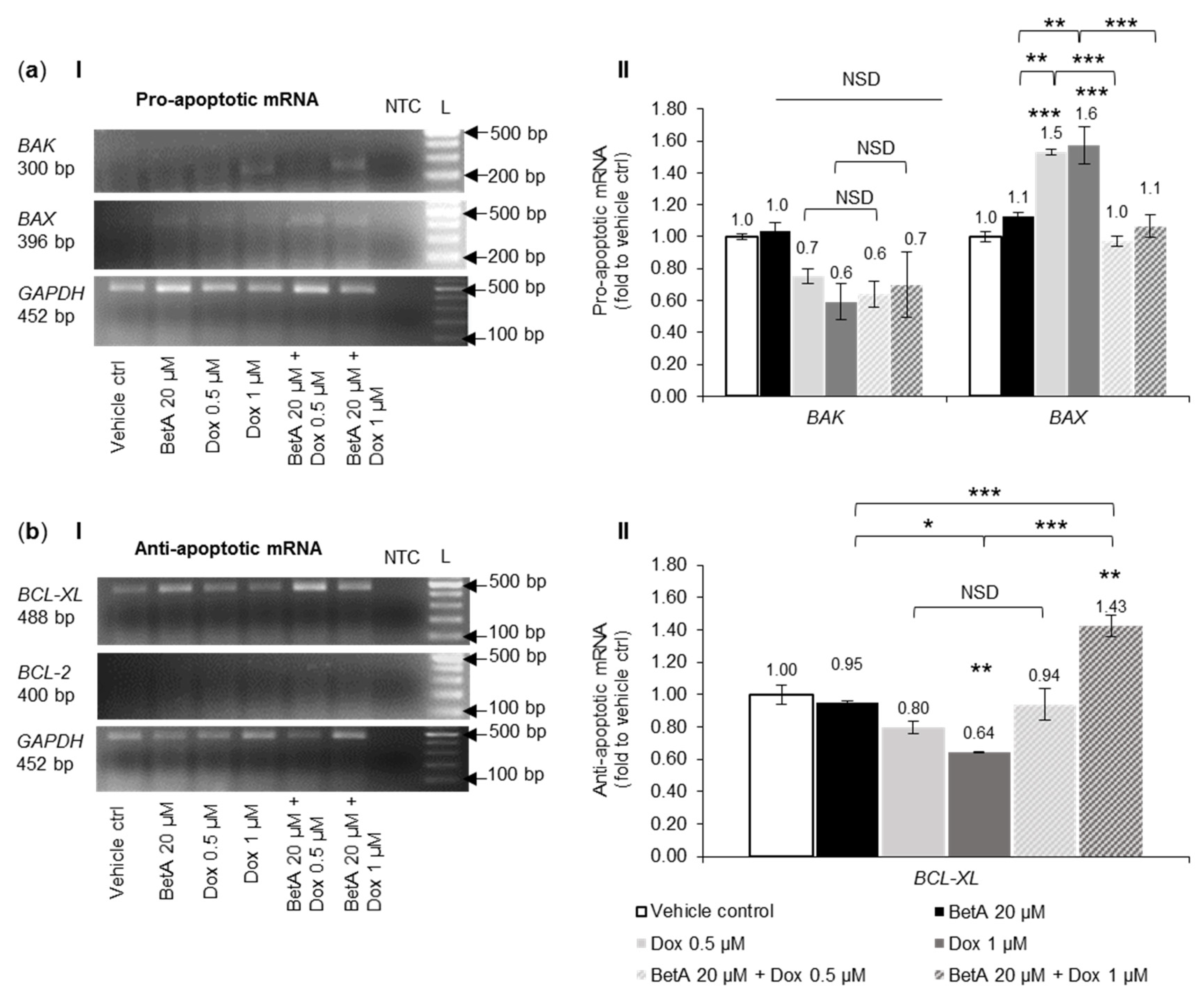 Antioxidants 10 01456 g007