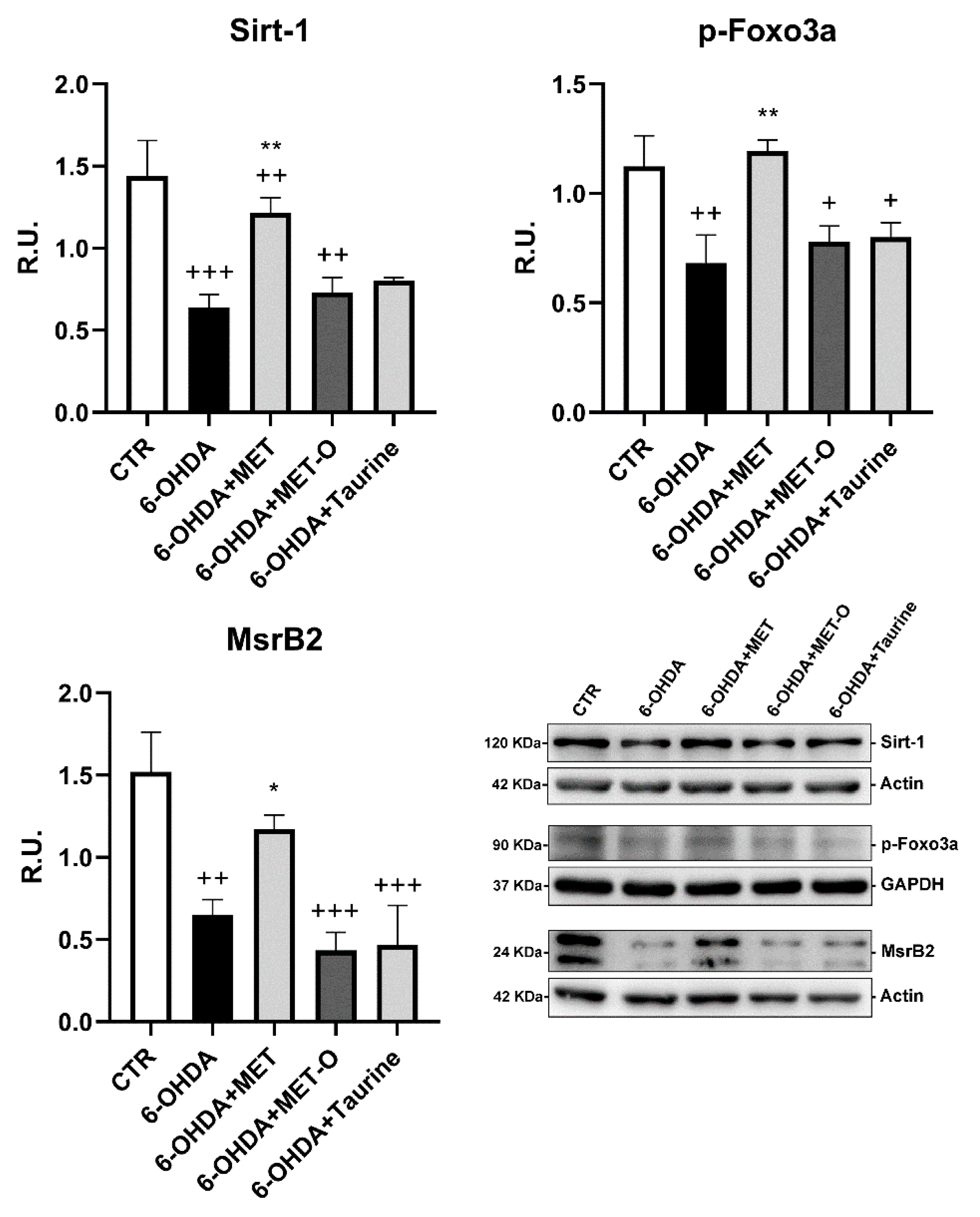 Antioxidants 10 01467 g007