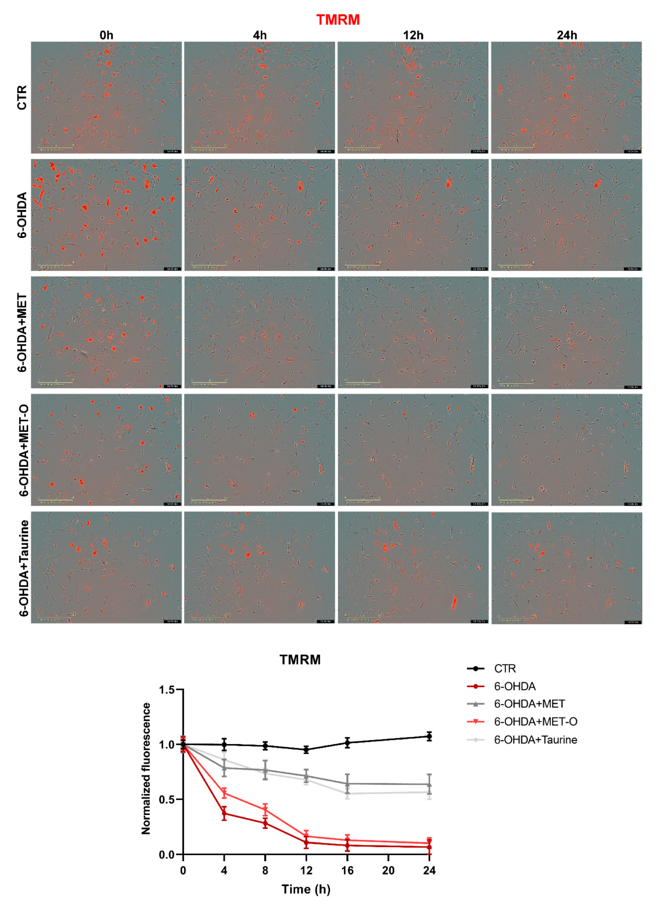 Antioxidants 10 01467 g009