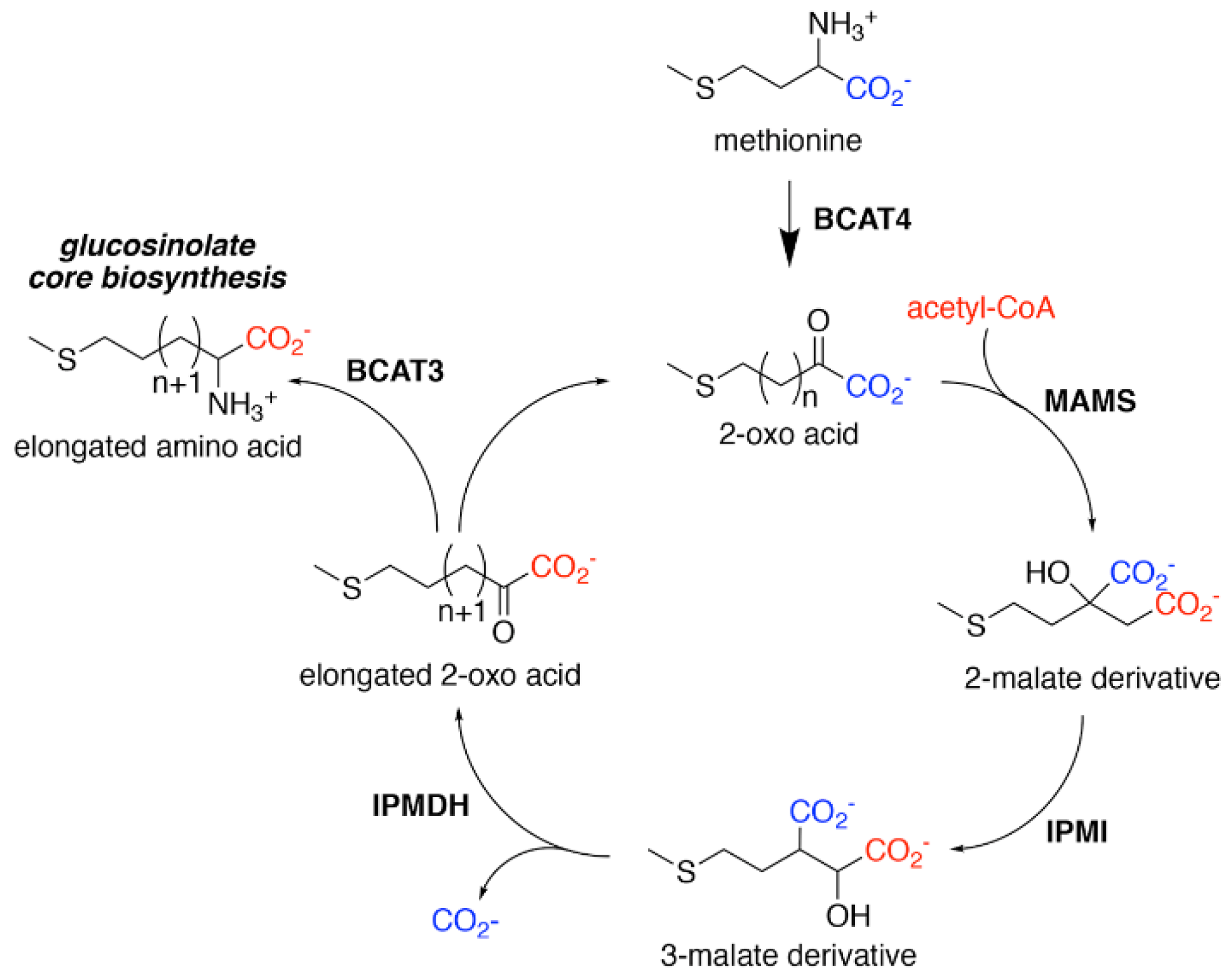 Antioxidants 10 01500 g002