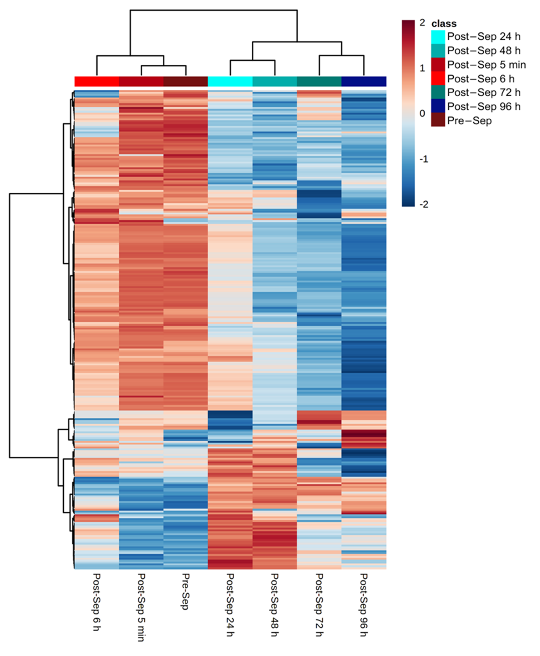 Antioxidants 10 01502 g005