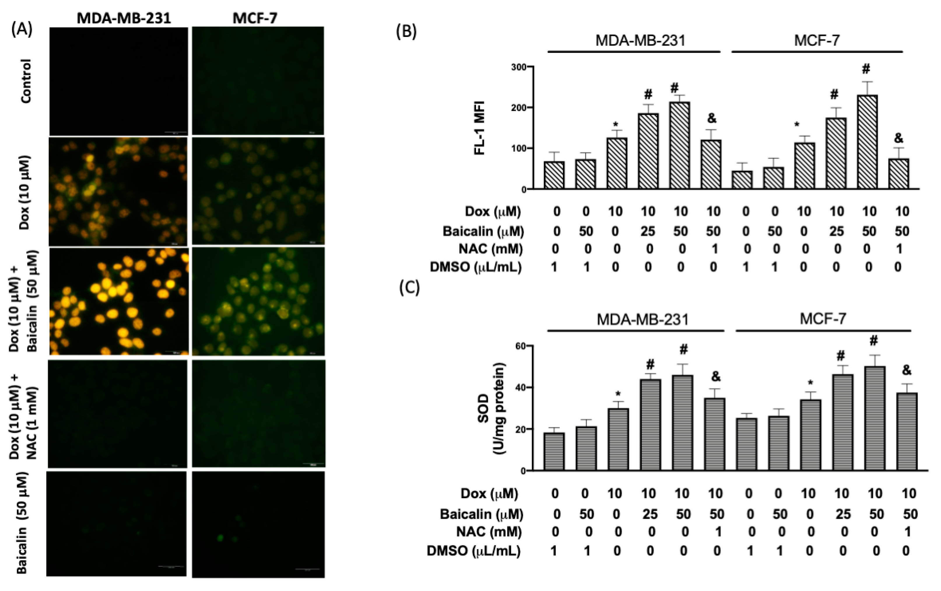 Antioxidants 10 01506 g002