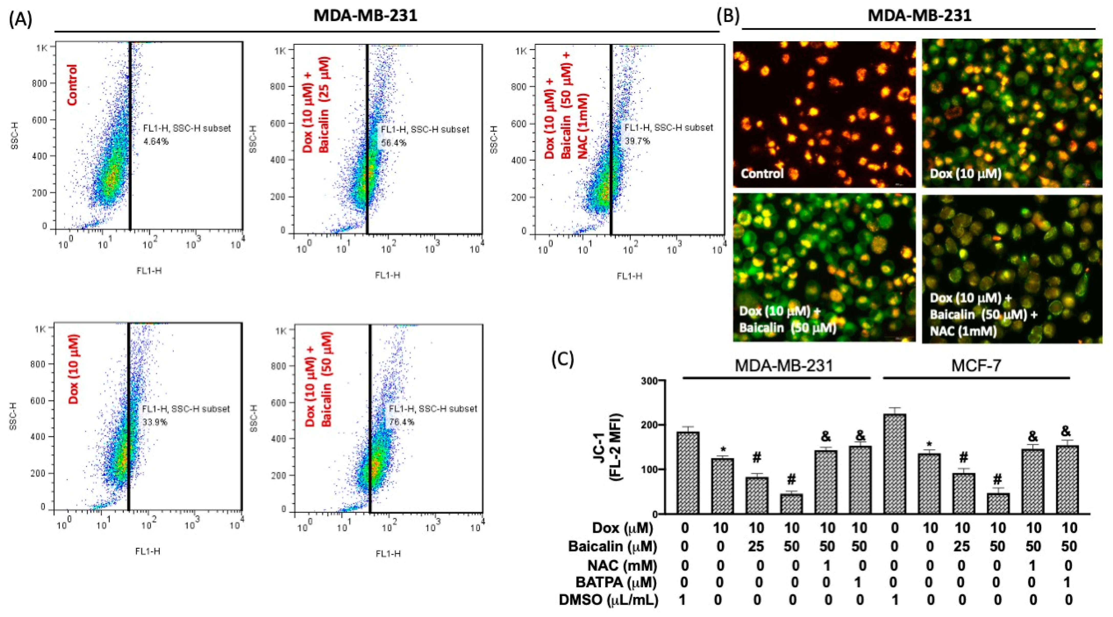Antioxidants 10 01506 g003