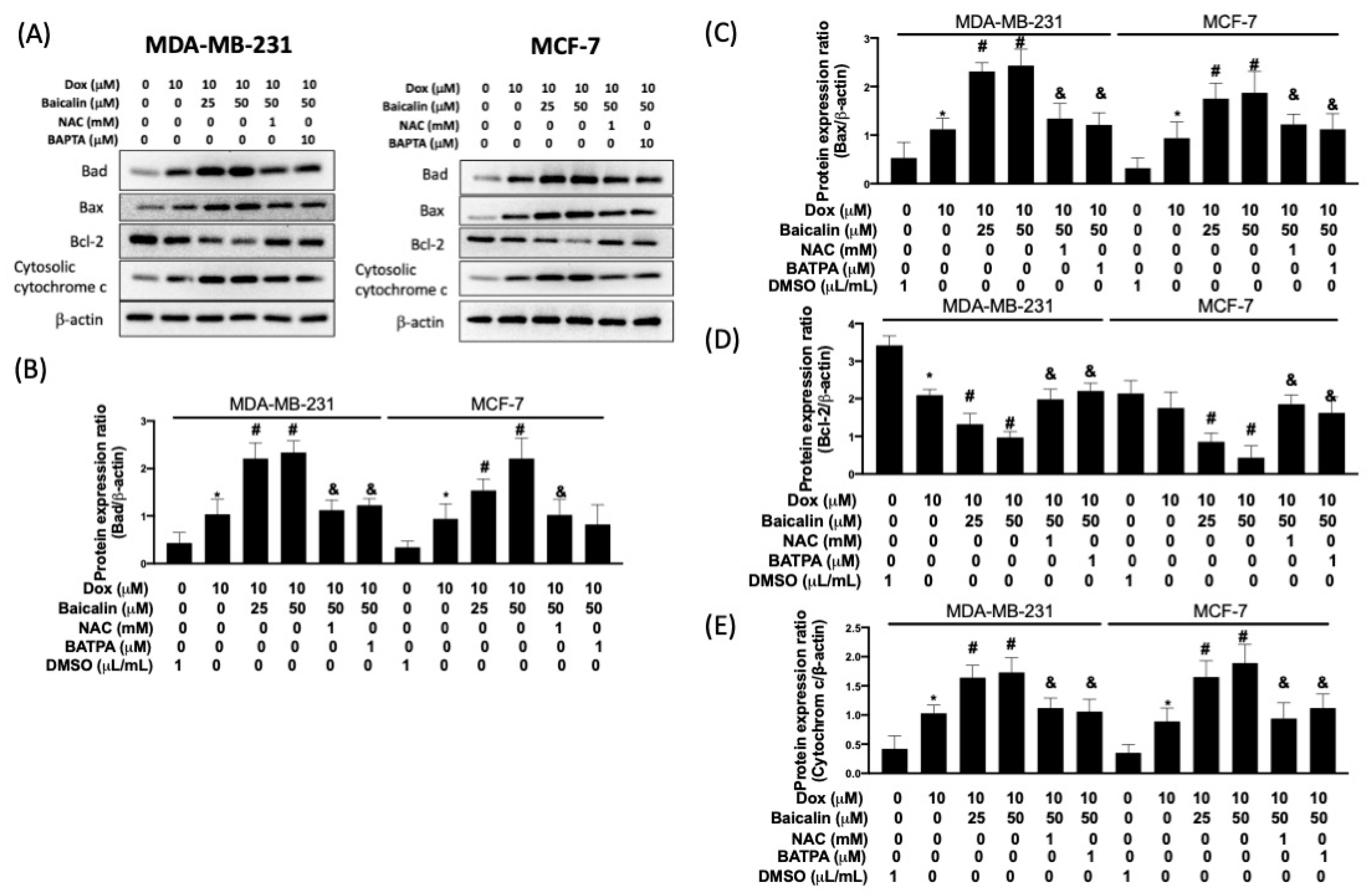 Antioxidants 10 01506 g004