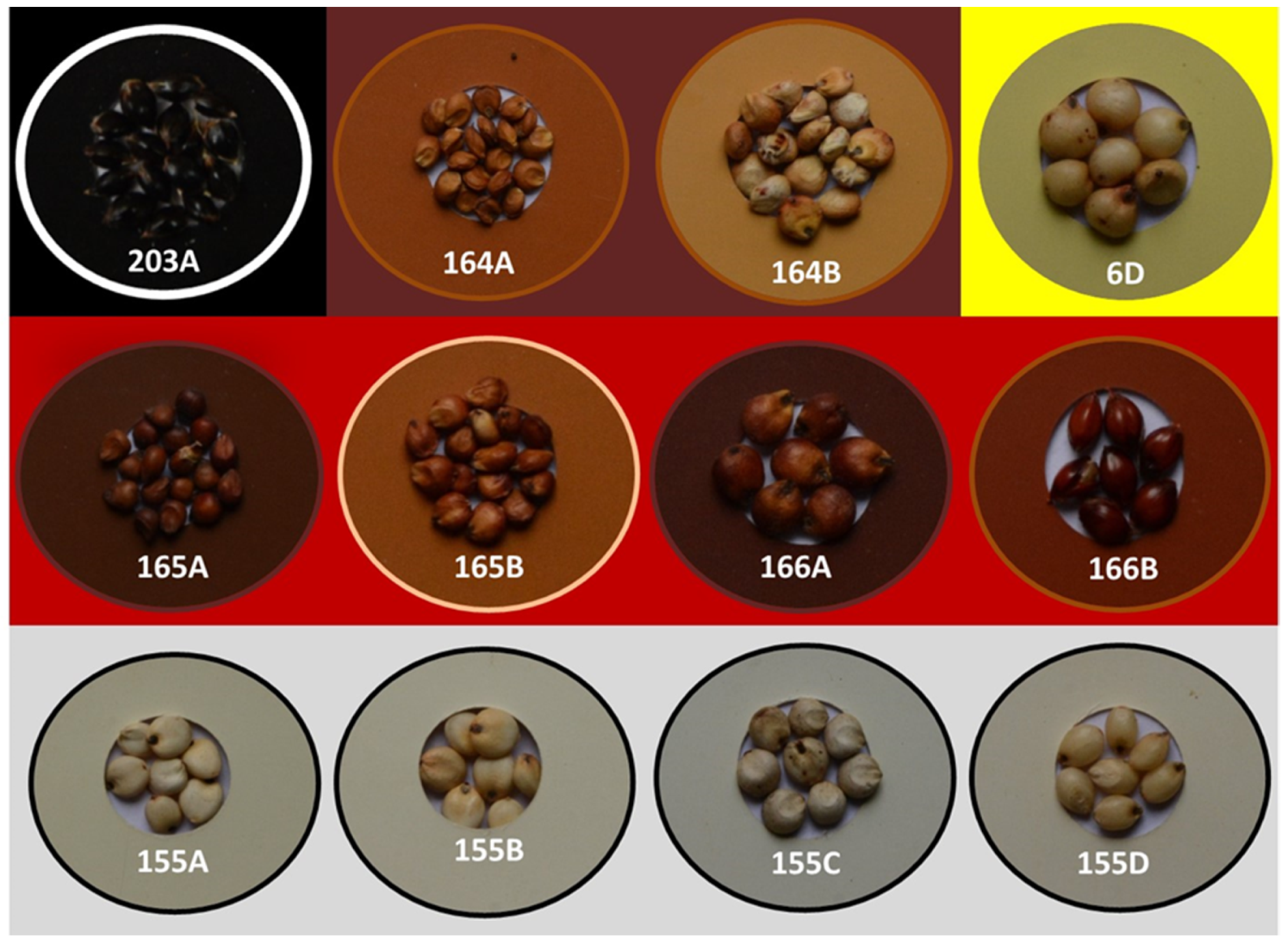 Antioxidants 10 01511 g001