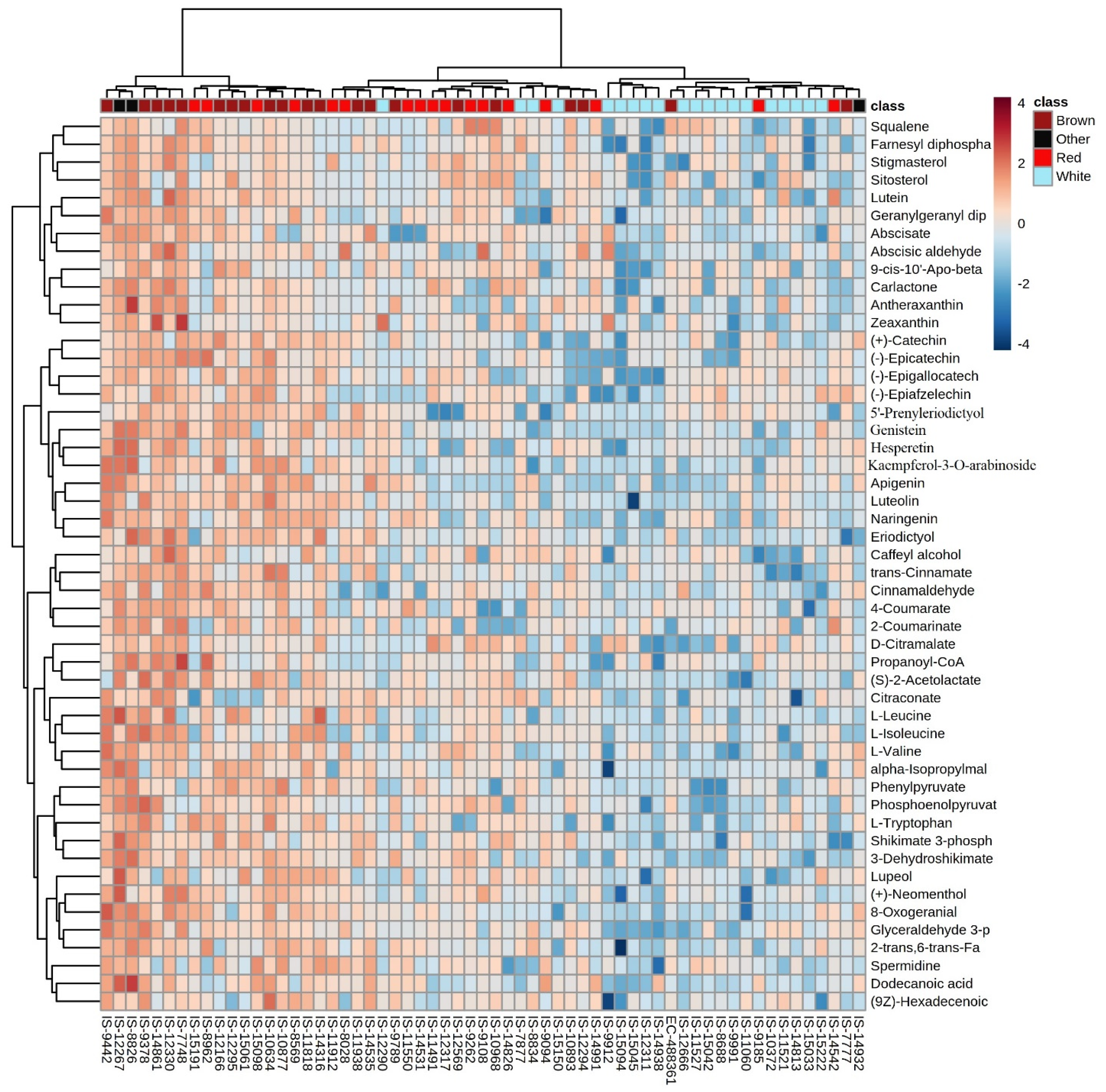 Antioxidants 10 01511 g009