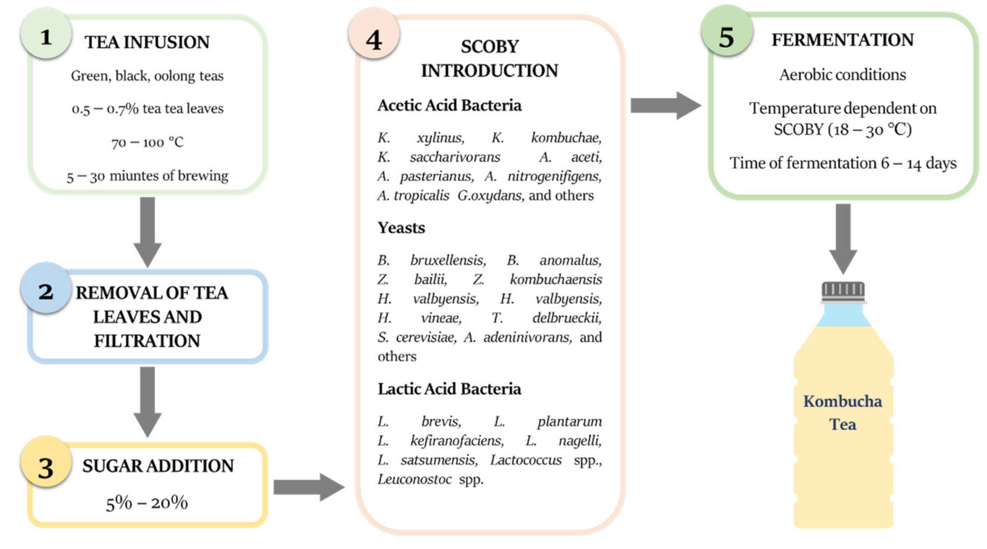 Antioxidants | Free Full-Text | Kombucha Tea—A Double Power of Bioactive  Compounds from Tea and Symbiotic Culture of Bacteria and Yeasts (SCOBY)