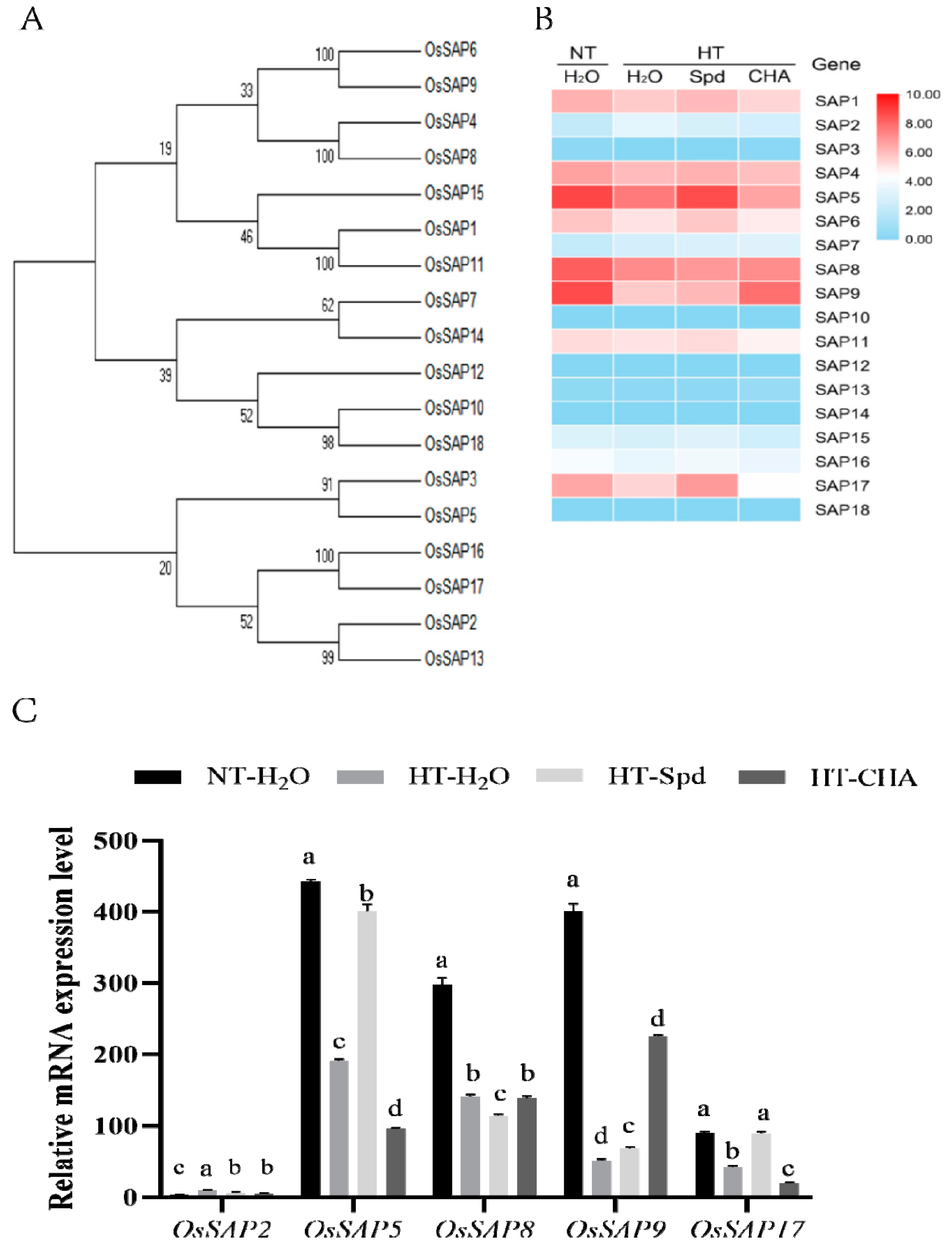 Antioxidants 10 01544 g002