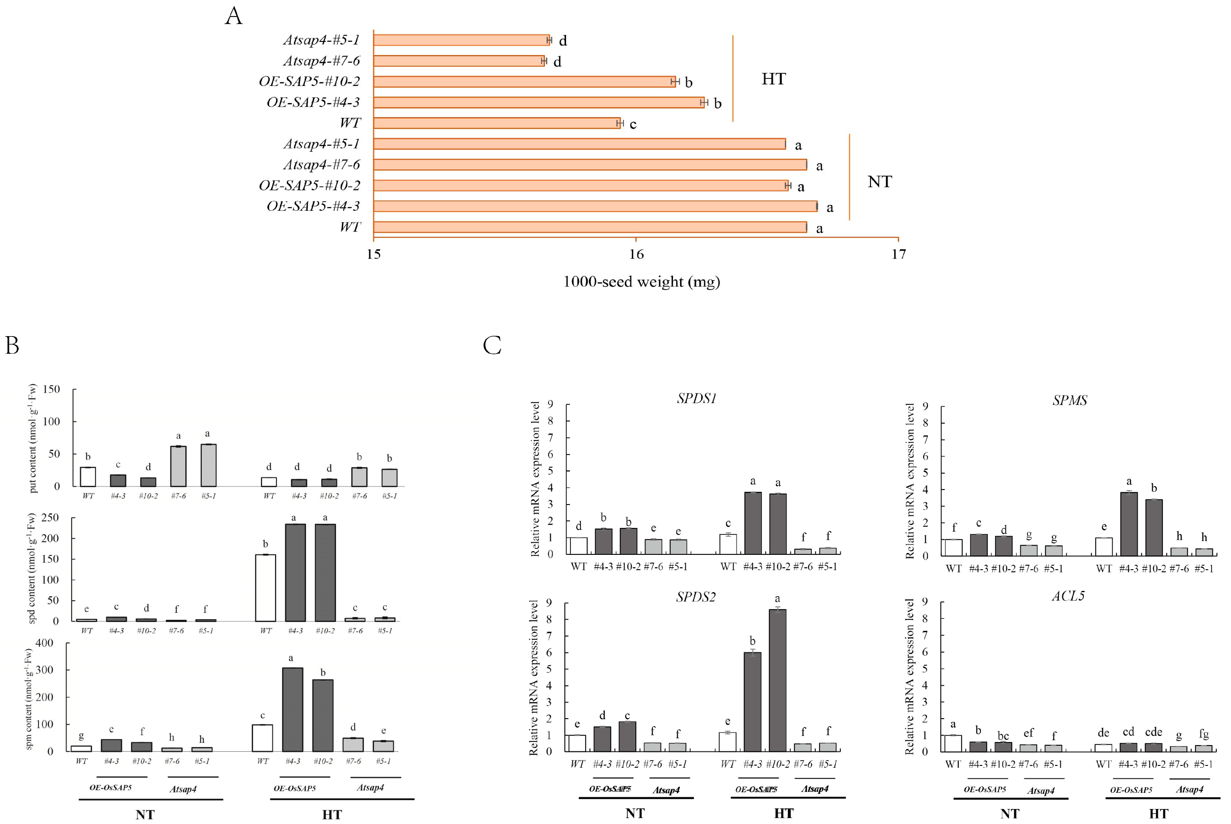 Antioxidants 10 01544 g003