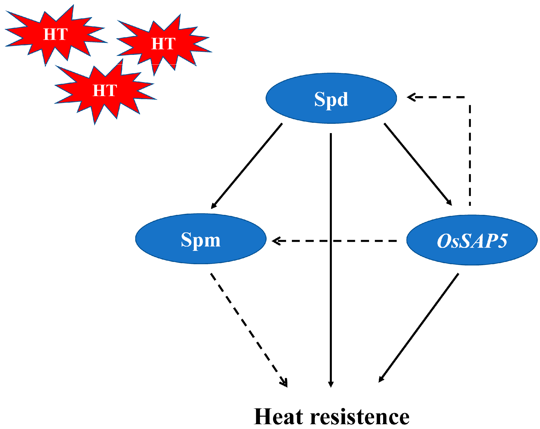 Antioxidants 10 01544 g005