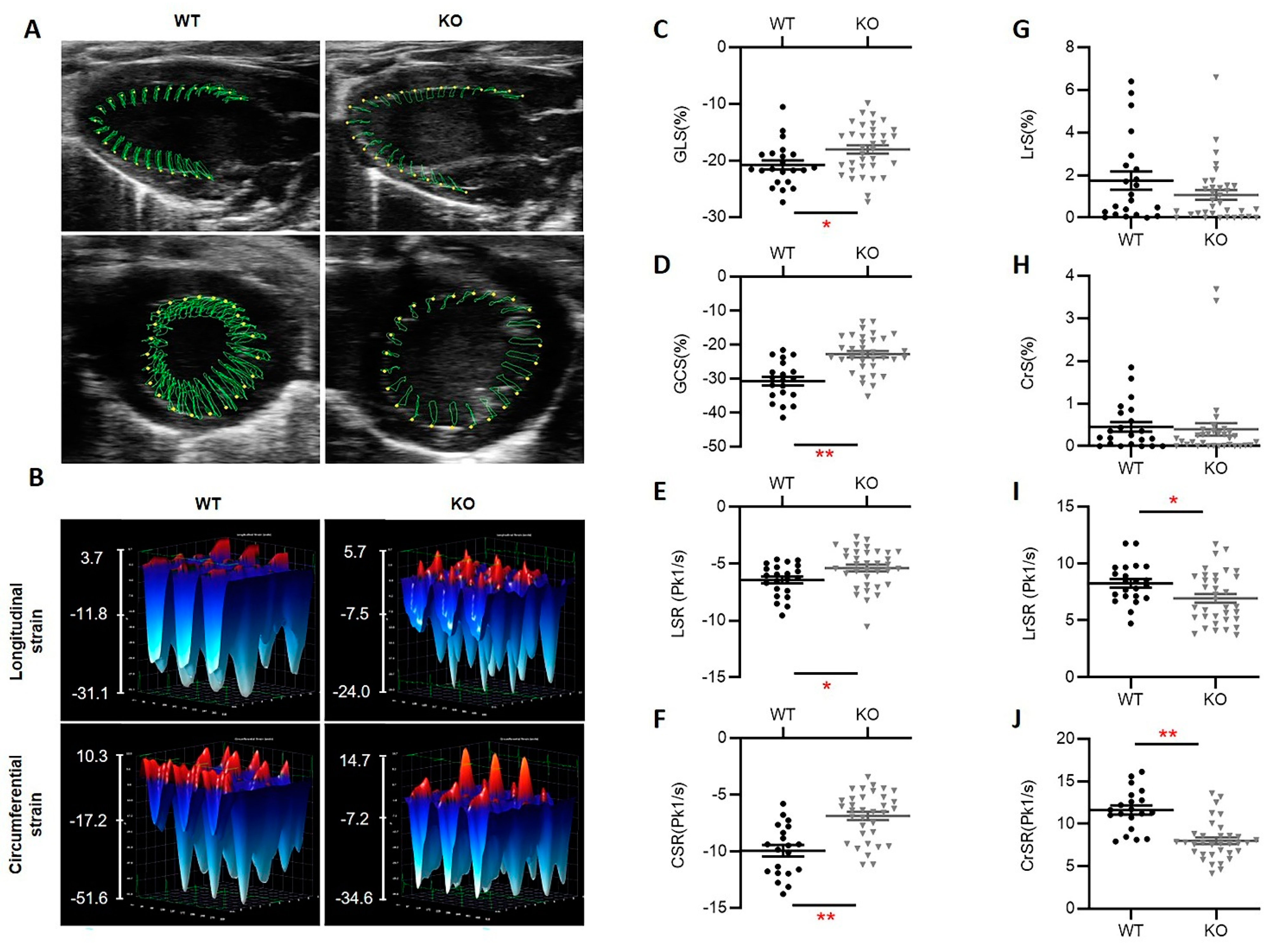 Antioxidants 10 01550 g003