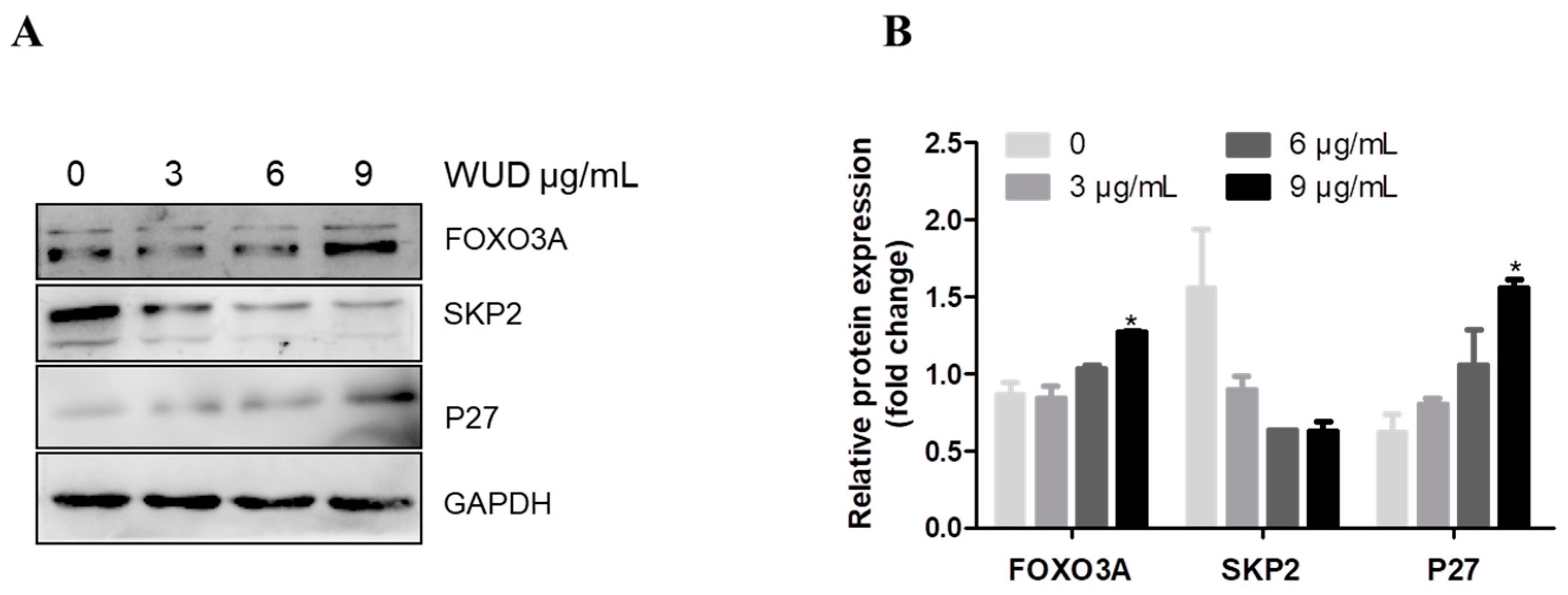 Antioxidants 10 01559 g005 Antioxidants 10 01559 g005