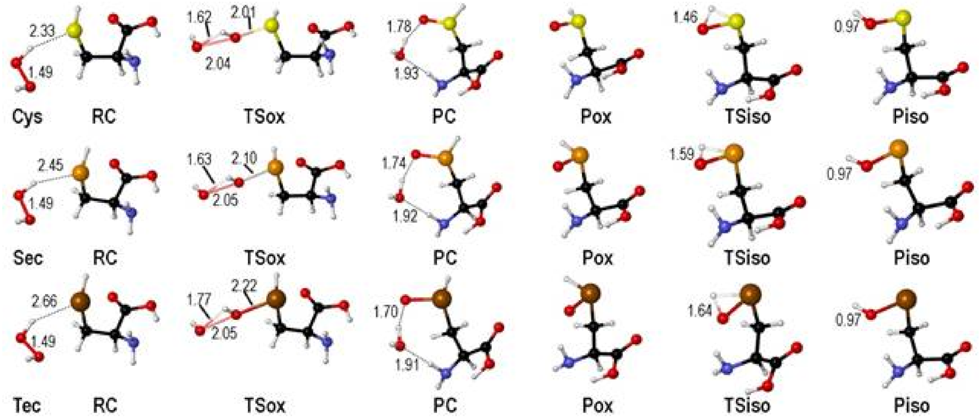Antioxidants 10 01560 g001