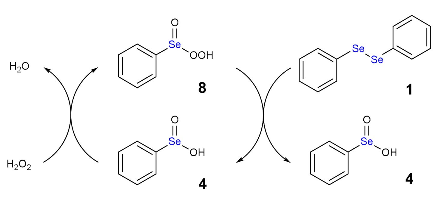 Antioxidants 10 01560 sch006