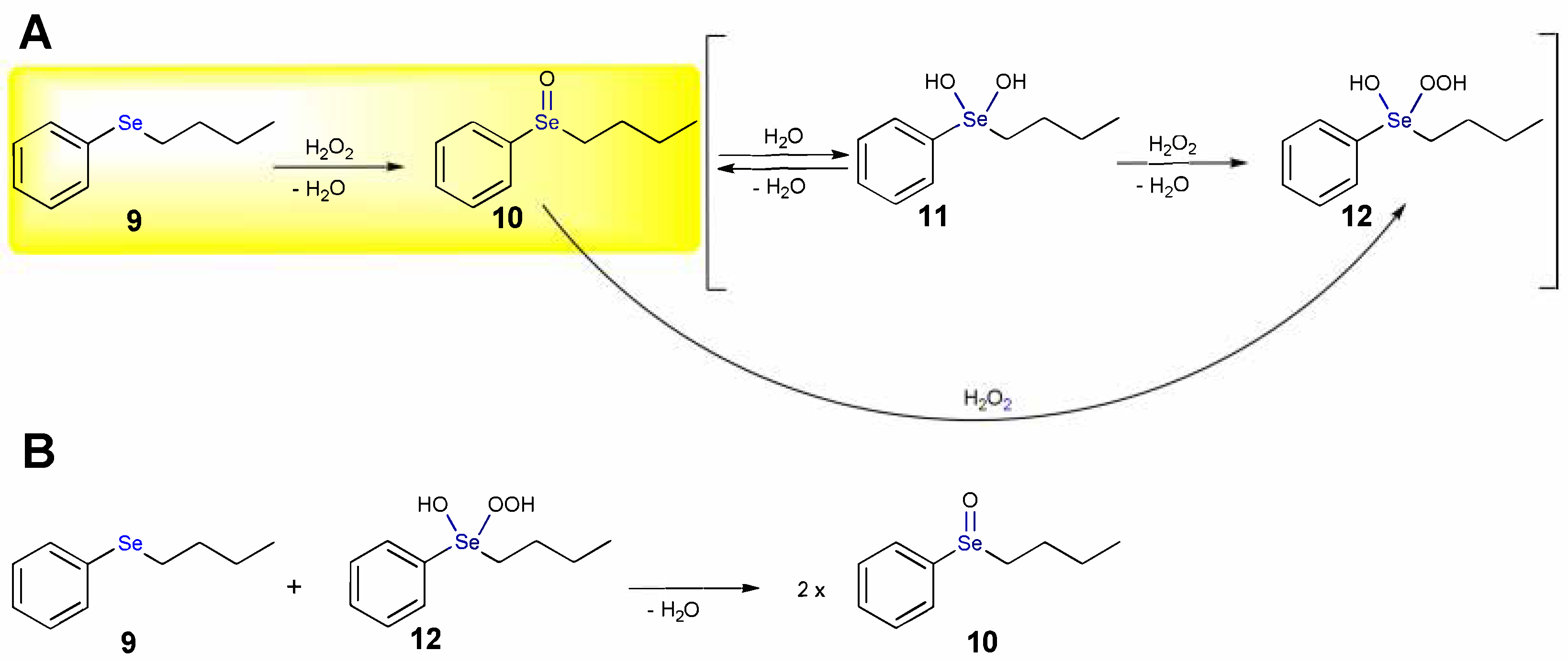 Antioxidants 10 01560 sch007