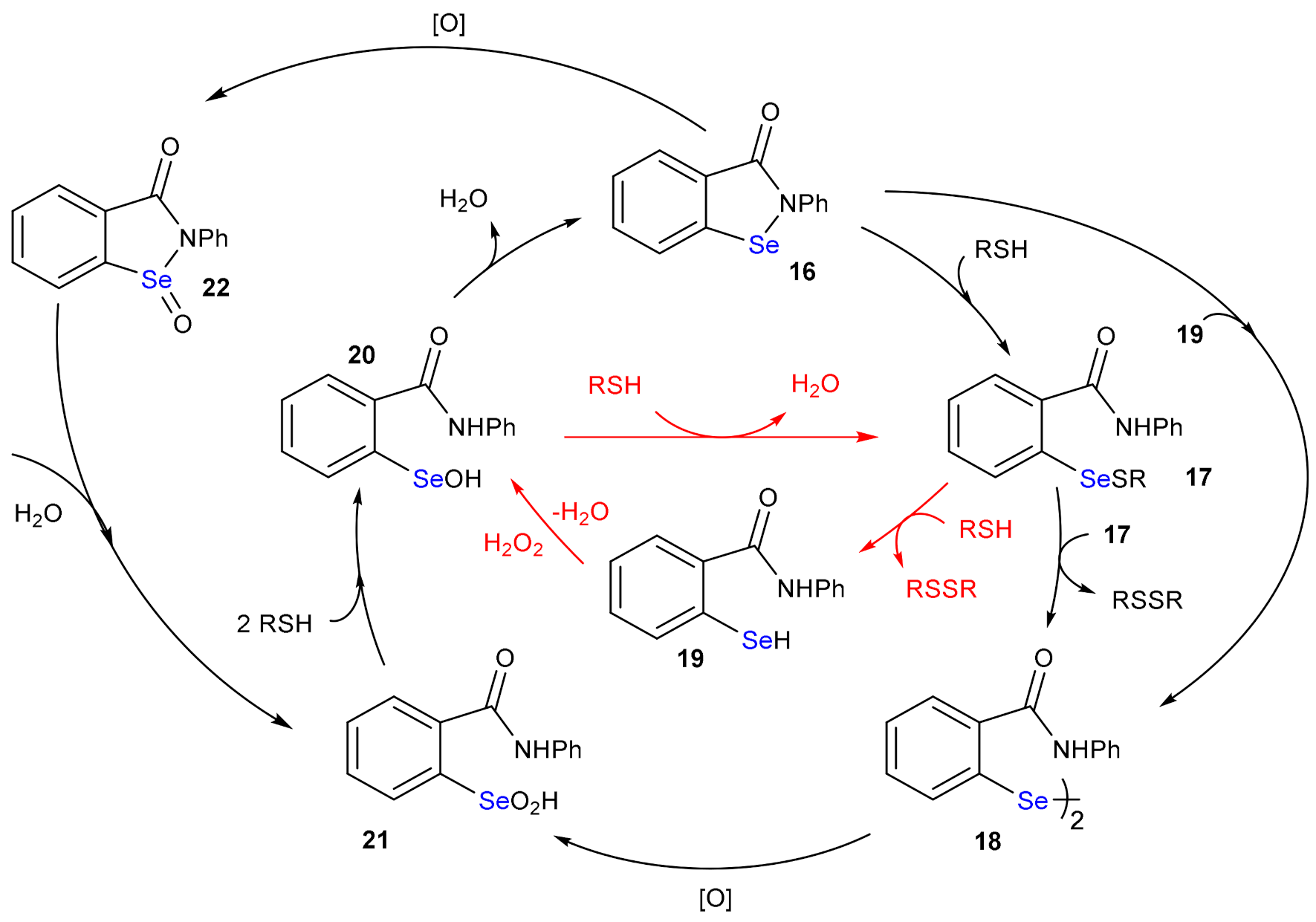 Antioxidants 10 01560 sch013