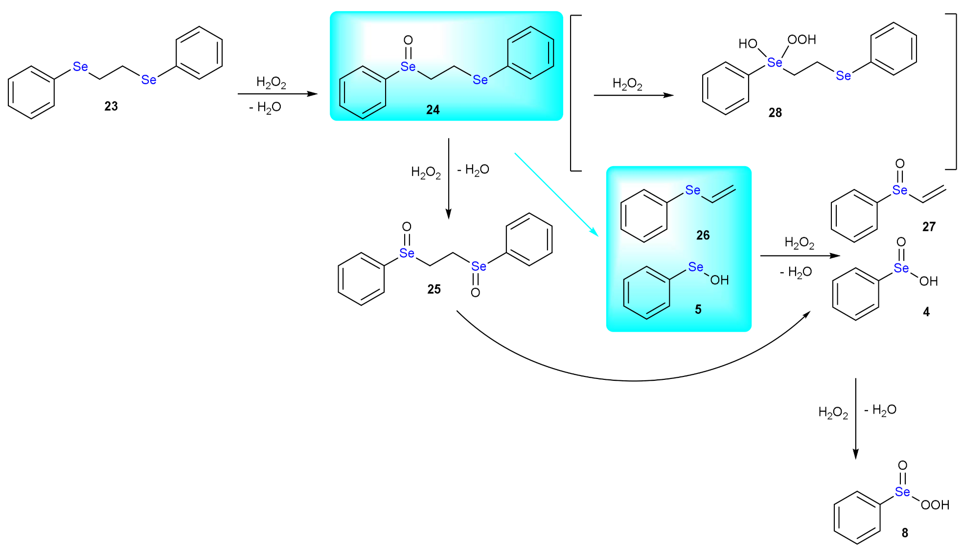 Antioxidants 10 01560 sch014