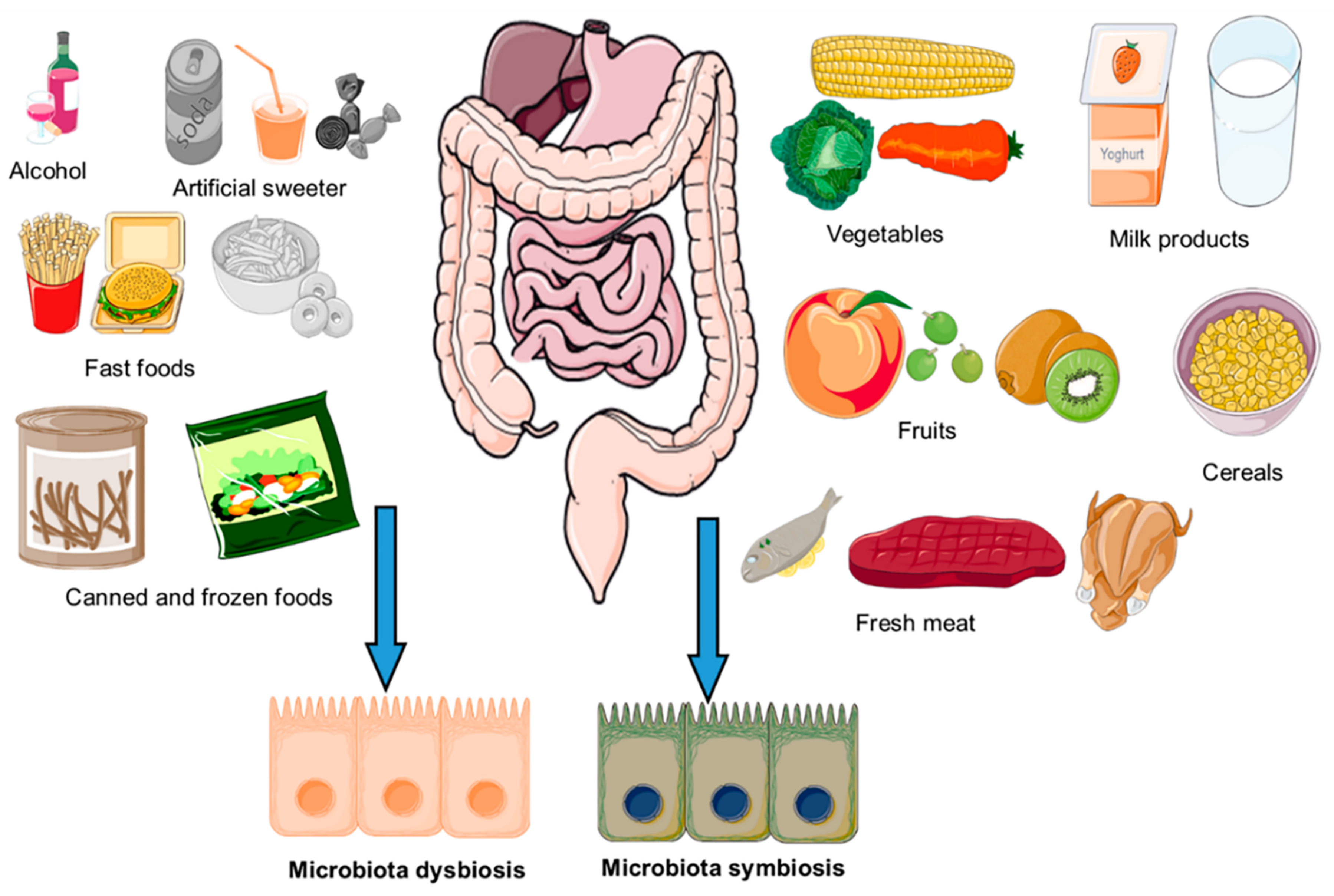 Antioxidants 10 01563 g002