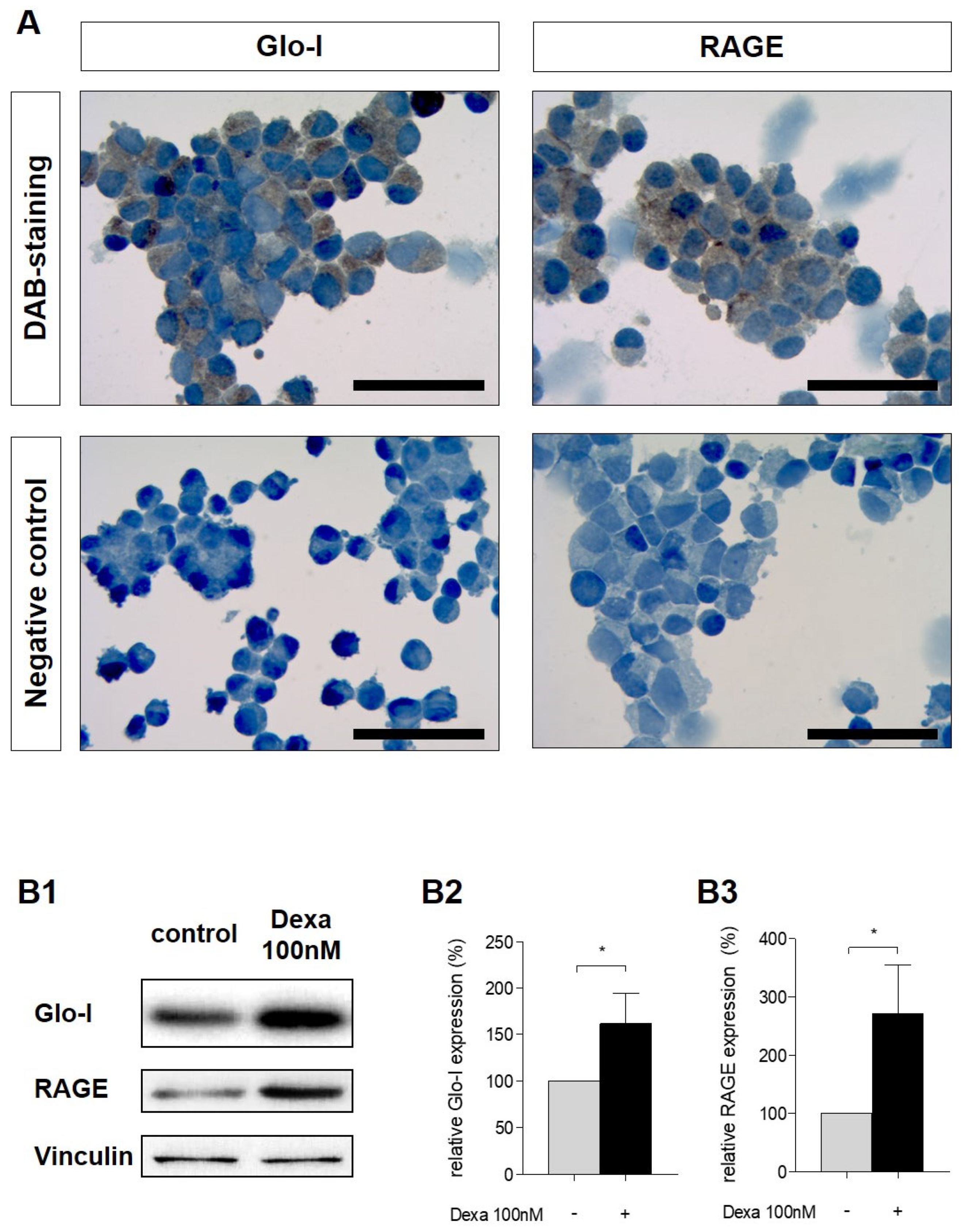 Antioxidants 10 01574 g002