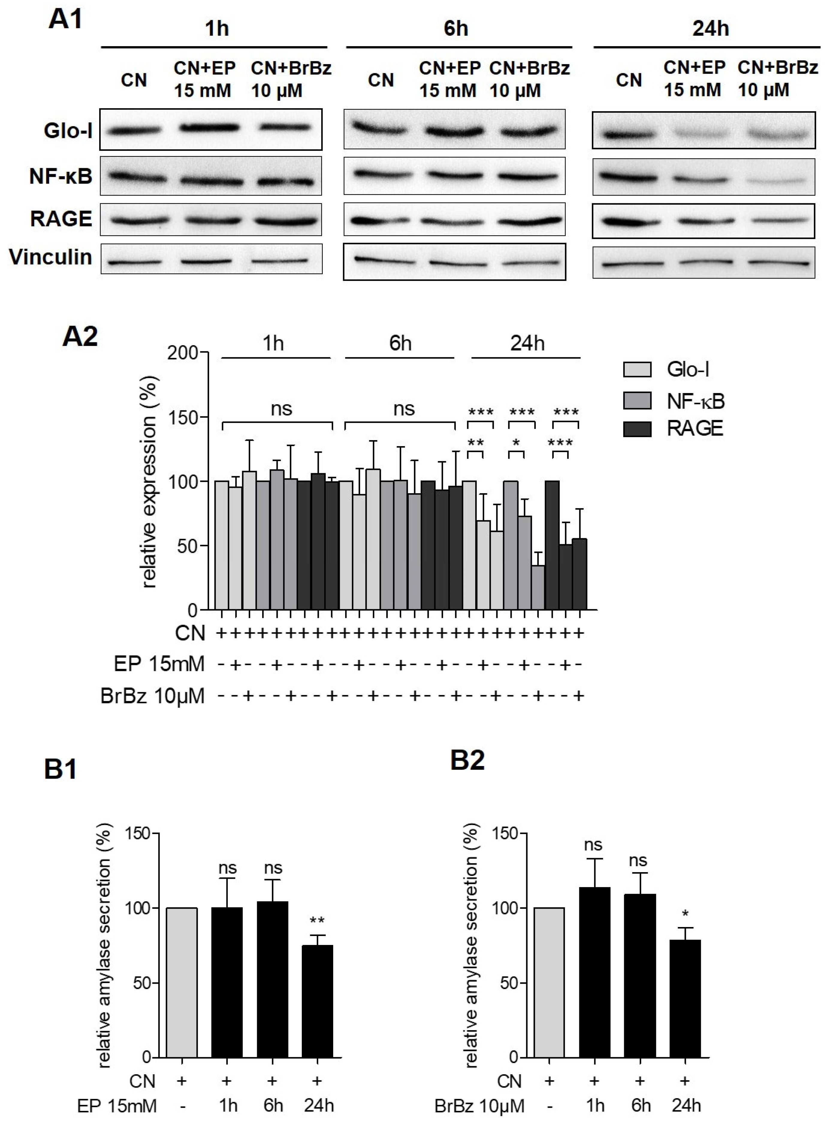 Antioxidants 10 01574 g004