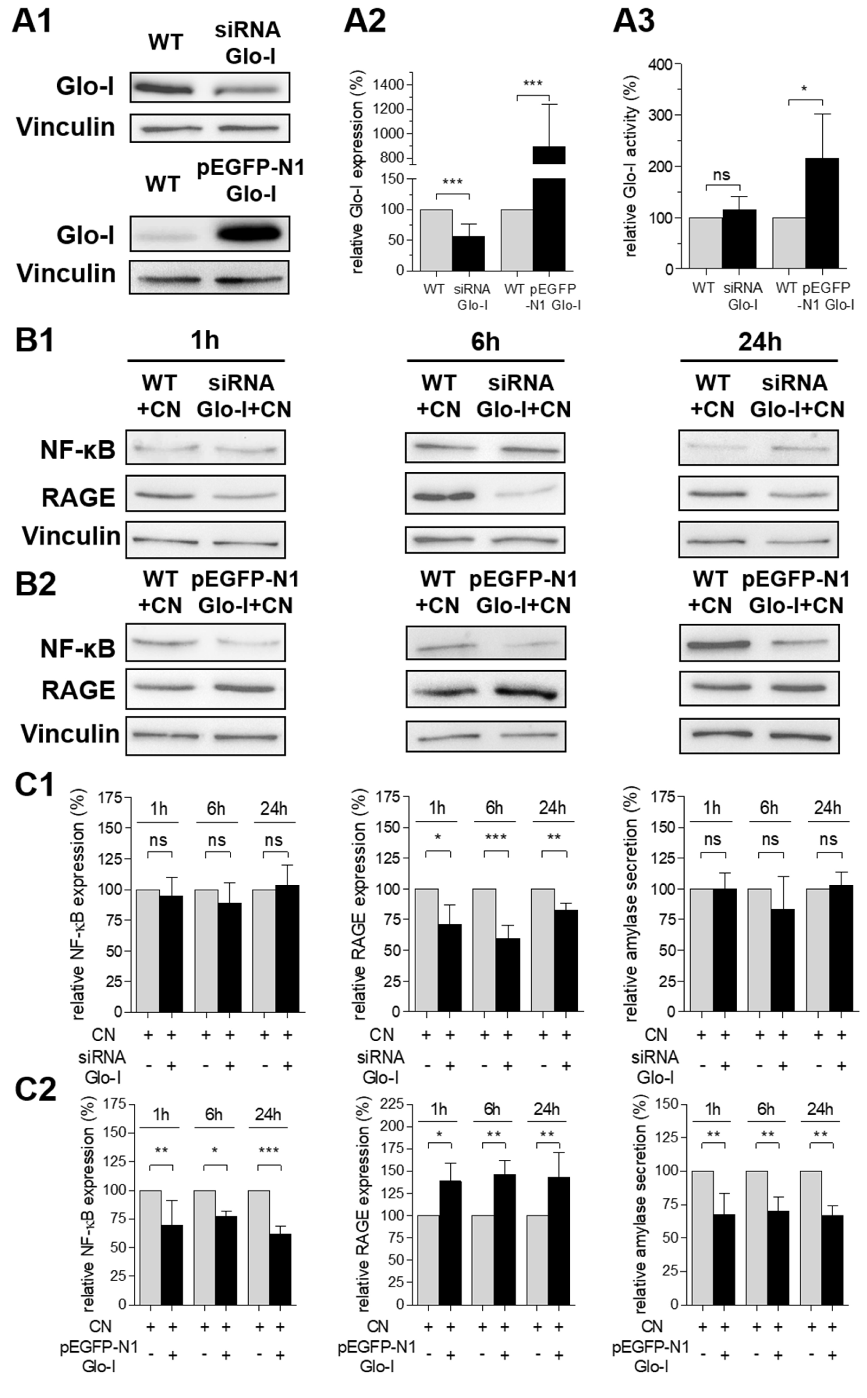 Antioxidants 10 01574 g005