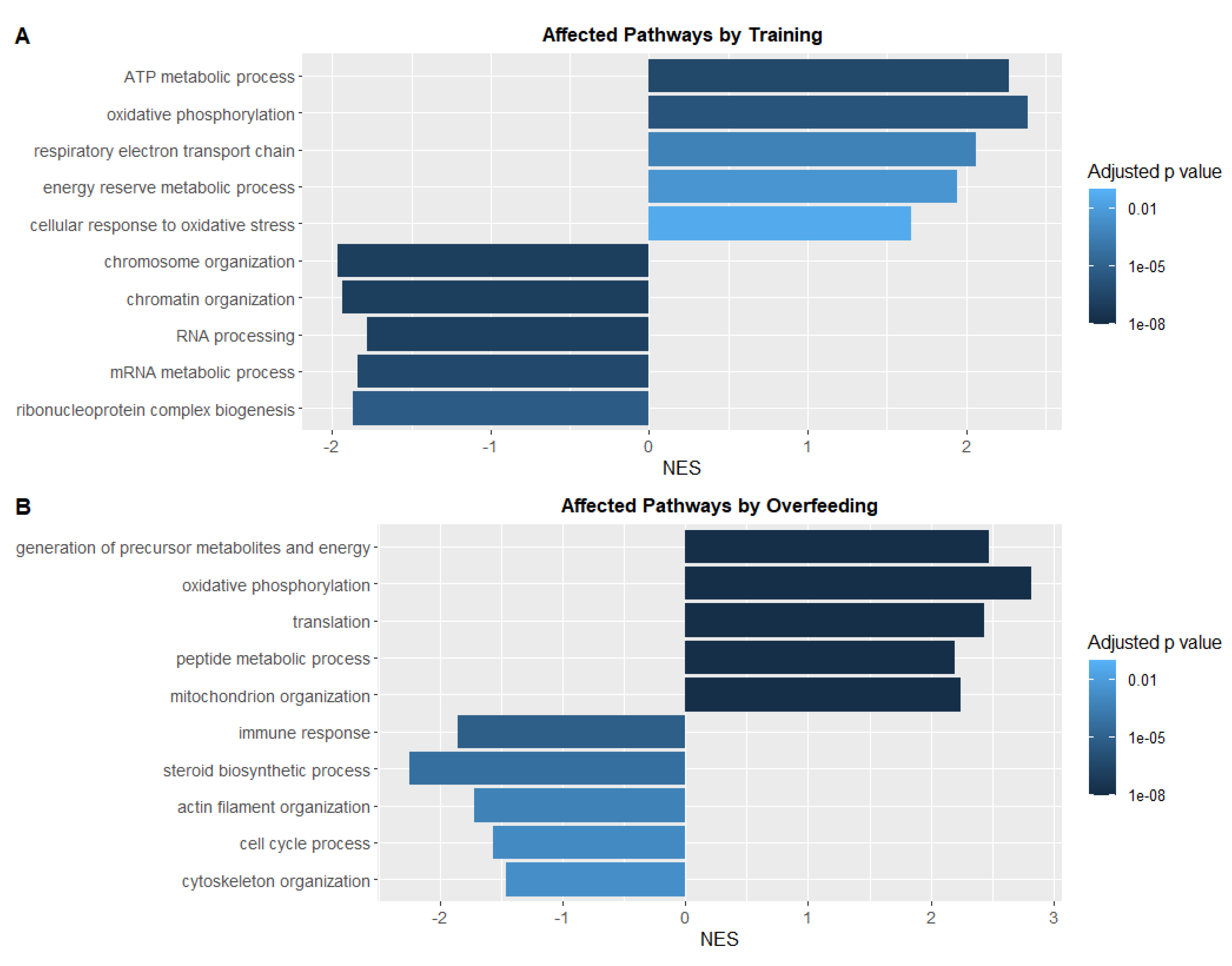 Antioxidants 10 01581 g005