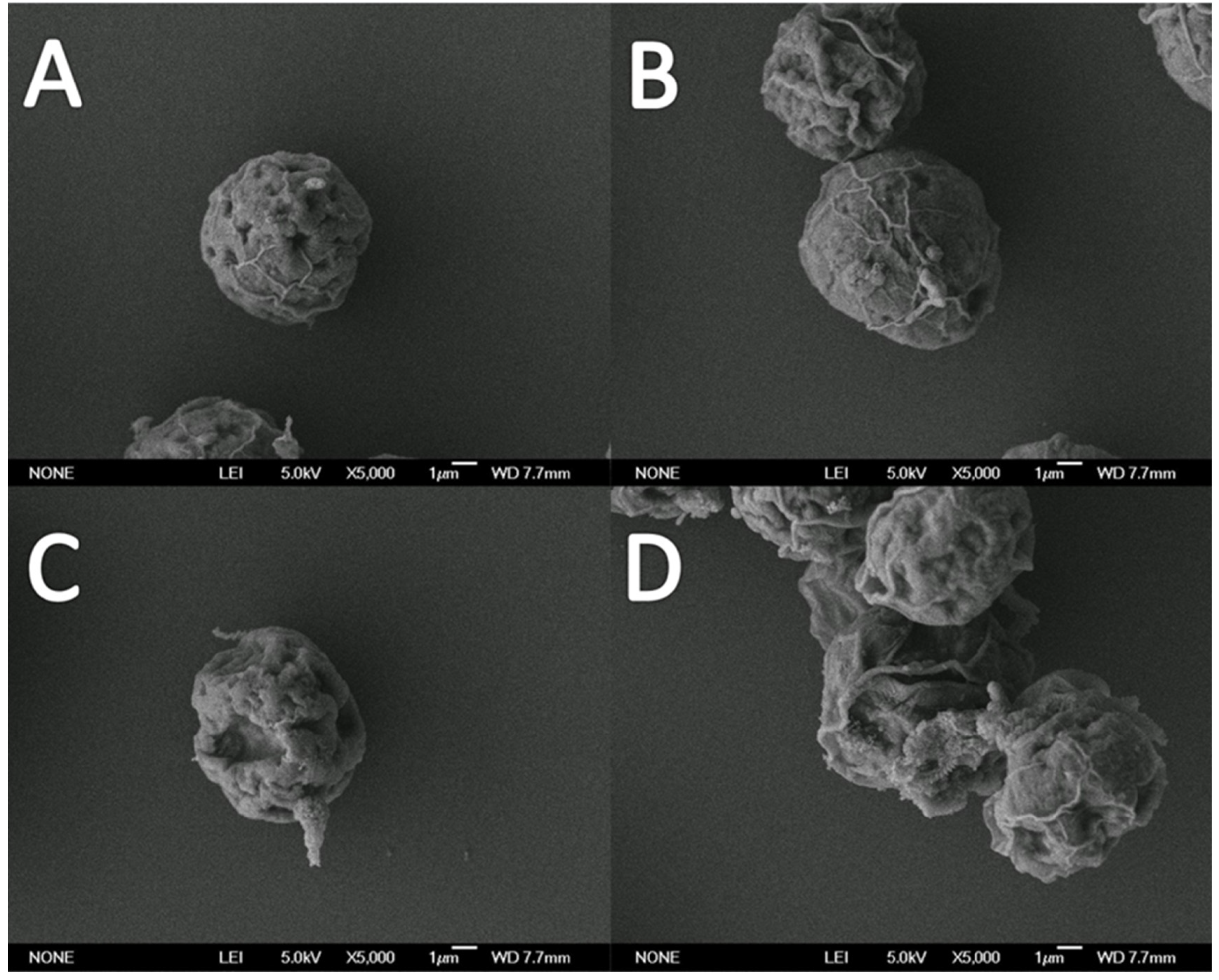 Antioxidants 10 01582 g002