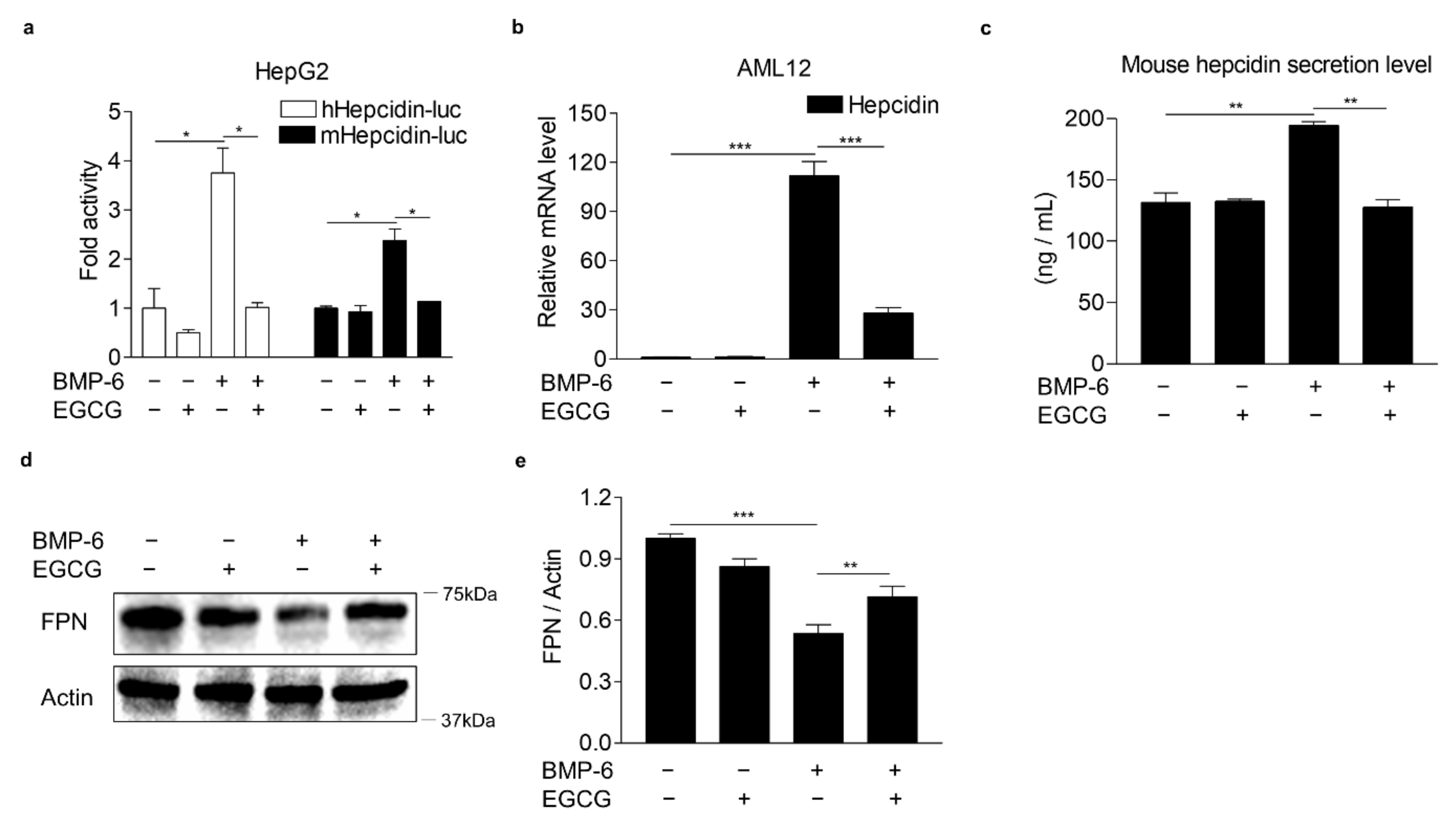 Antioxidants 10 01590 g001